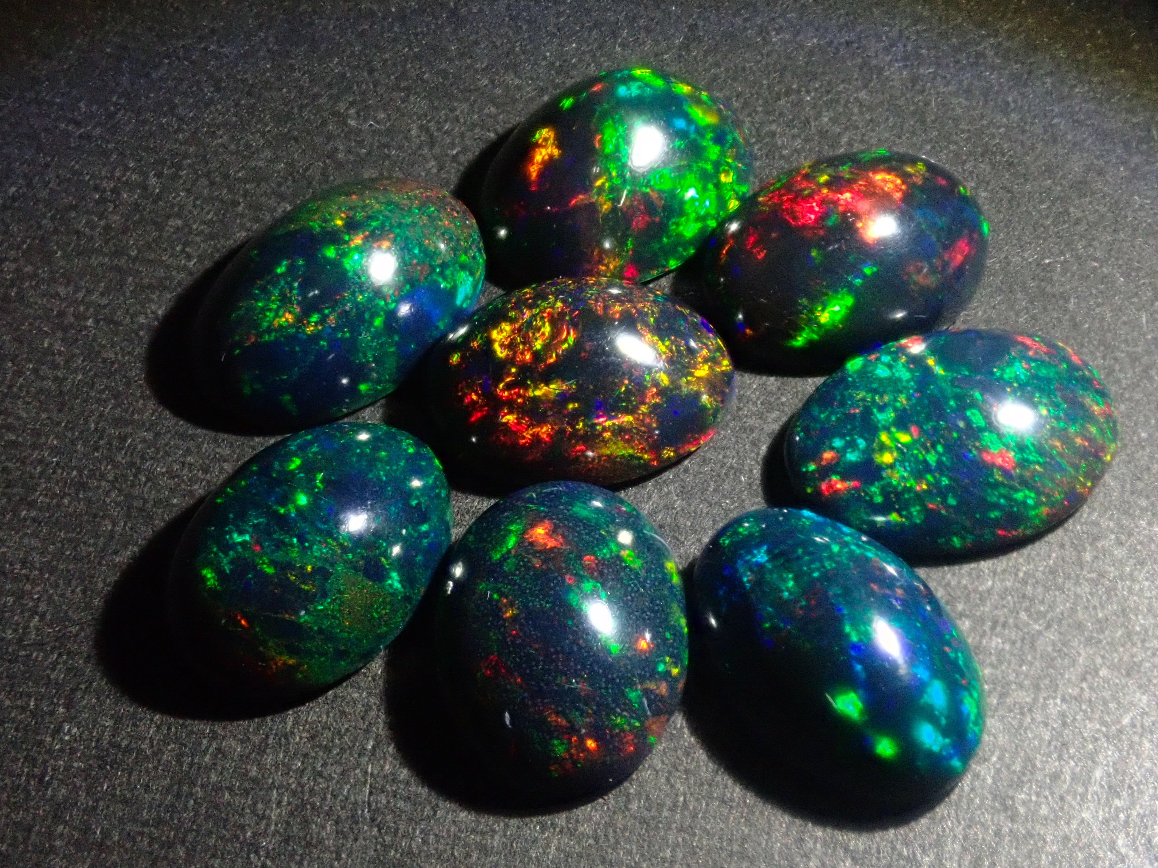 Limited to 8 stones: Ethiopian black opal (heat-treated, identification instructions included, average 2ct, approx. 11x8mm) 1 loose stone (multiple purchase discounts available)