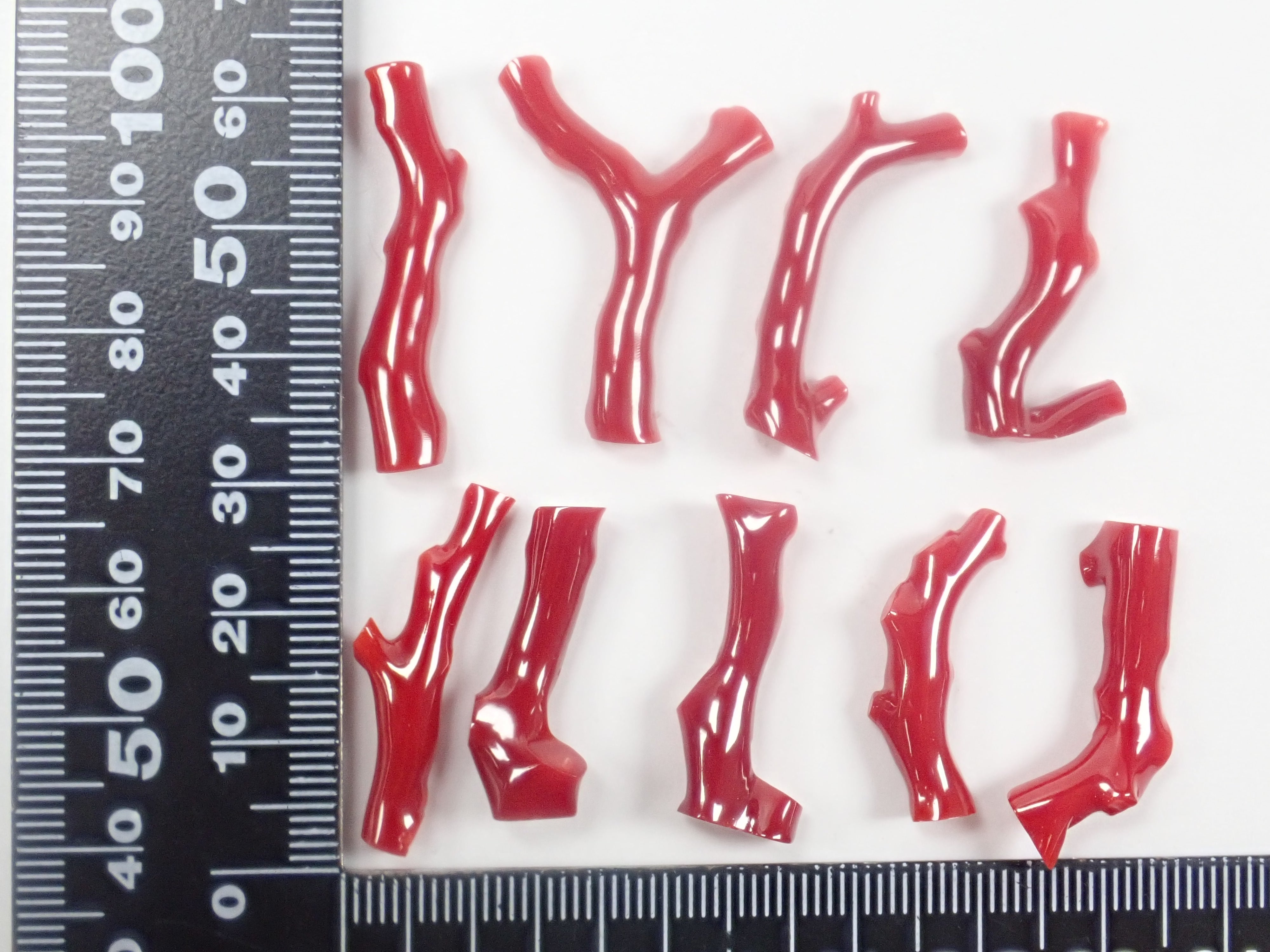 [On Sale April 18th, 10 PM JST] [Limited 9 Stones] Tosa Blood Coral Branch (Raw Coral) 1 Stone (March Birthstone, Coral, Average 7ct) [Bulk Purchase Discount Available]