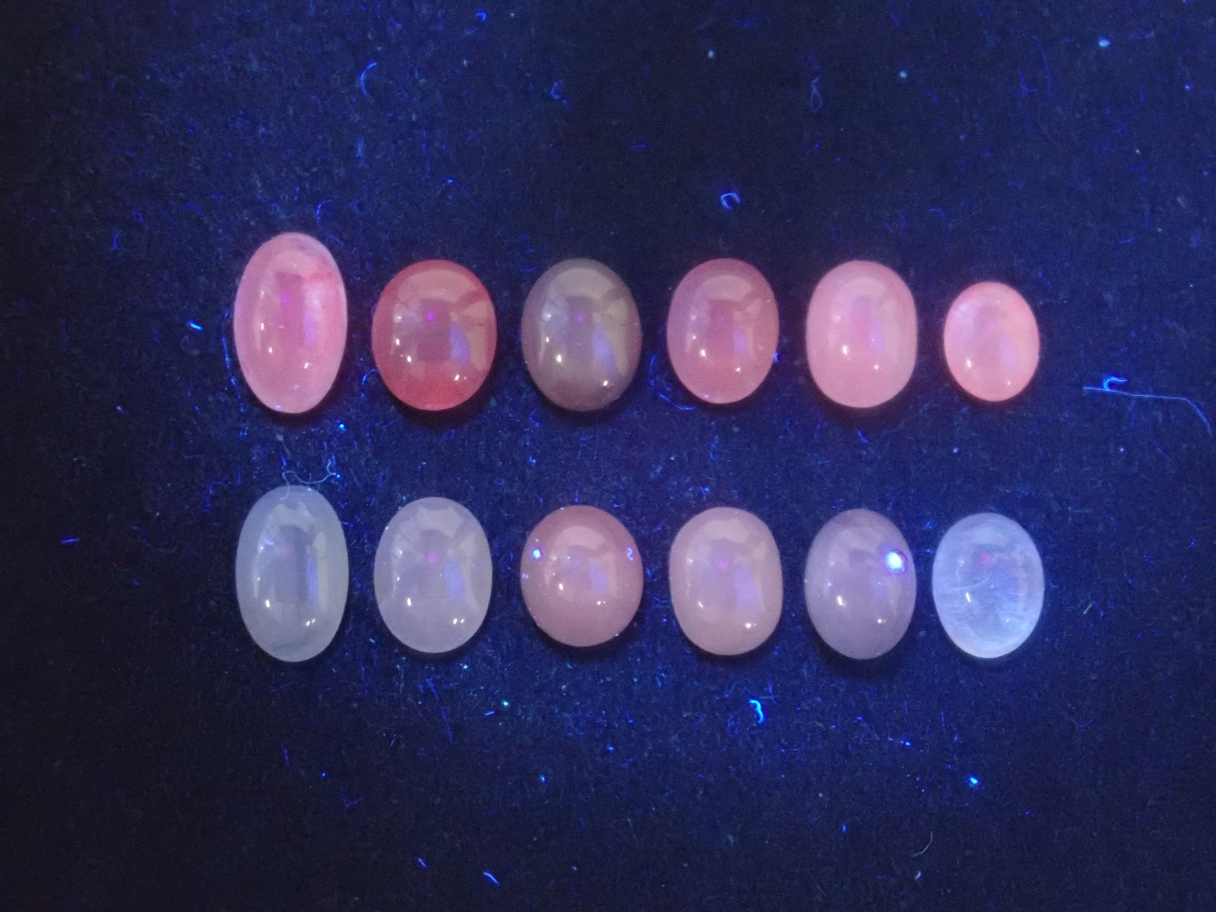 [On sale May 4th at 10 PM] Limited to 12 Stones - Loose Sri Lankan Star Sapphire (1 Stone) - Multiple Purchase Discount Available