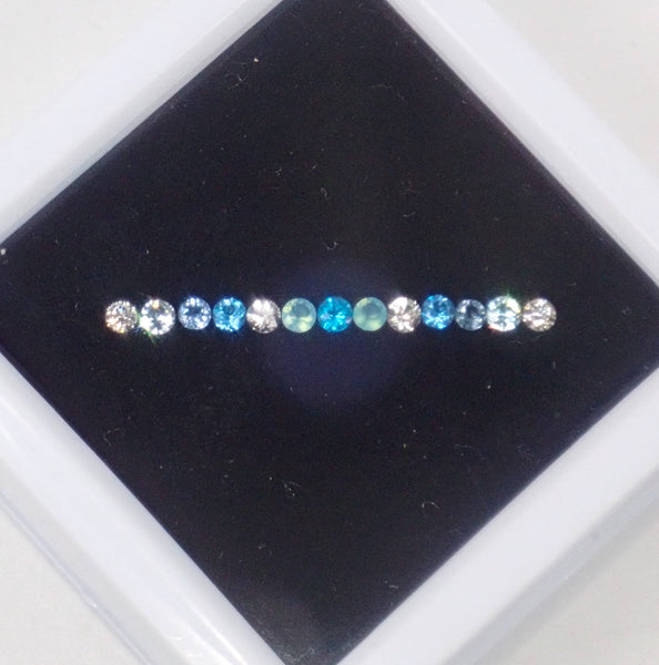 P1010033_eebd7124-07f3-4cd7-