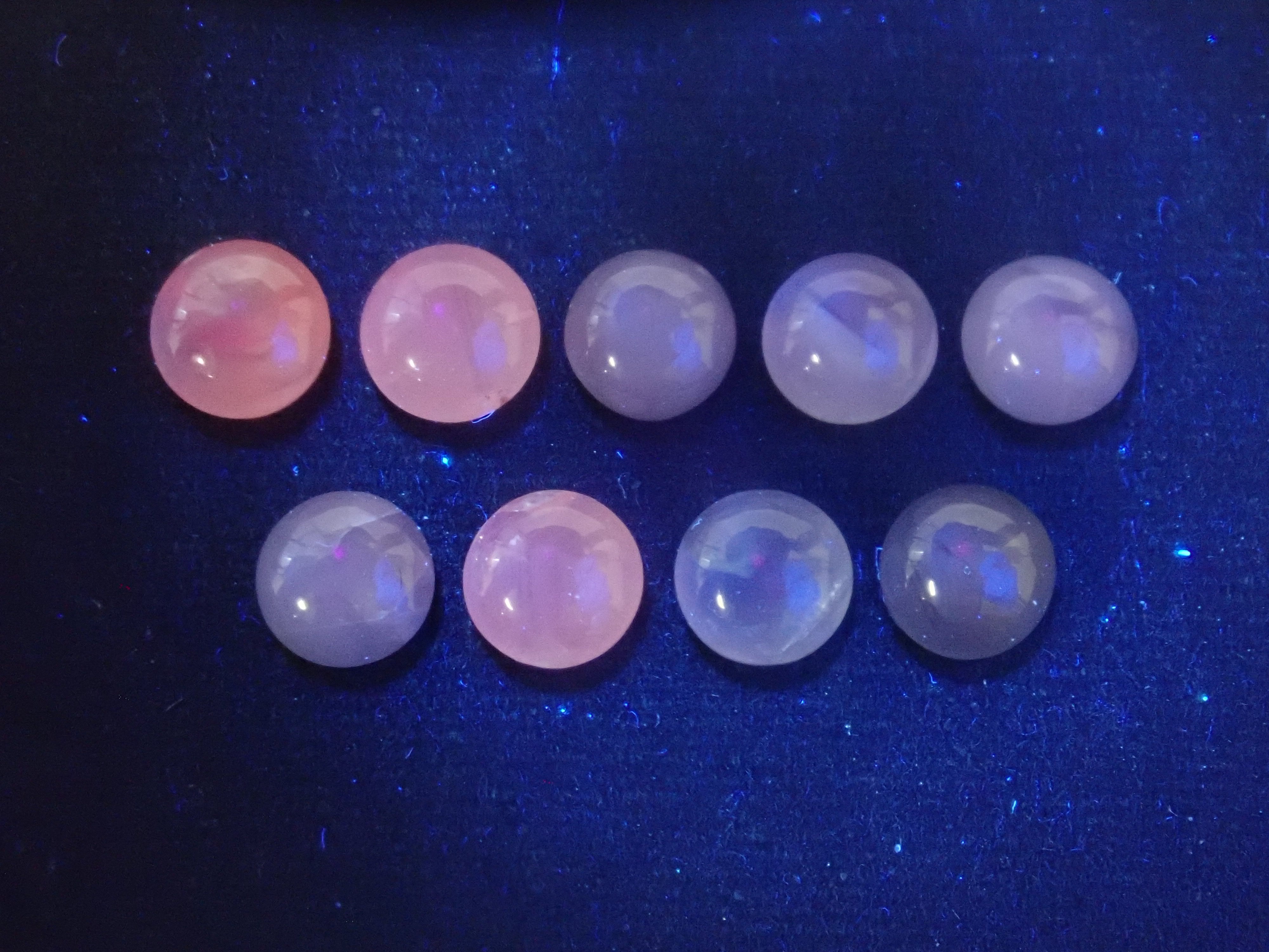 【5/2  22時販売】《限定9石》珍しいラウンドカボションカットのスリランカ産スターサファイア1石（約5.0mm）《複数購入割引有》