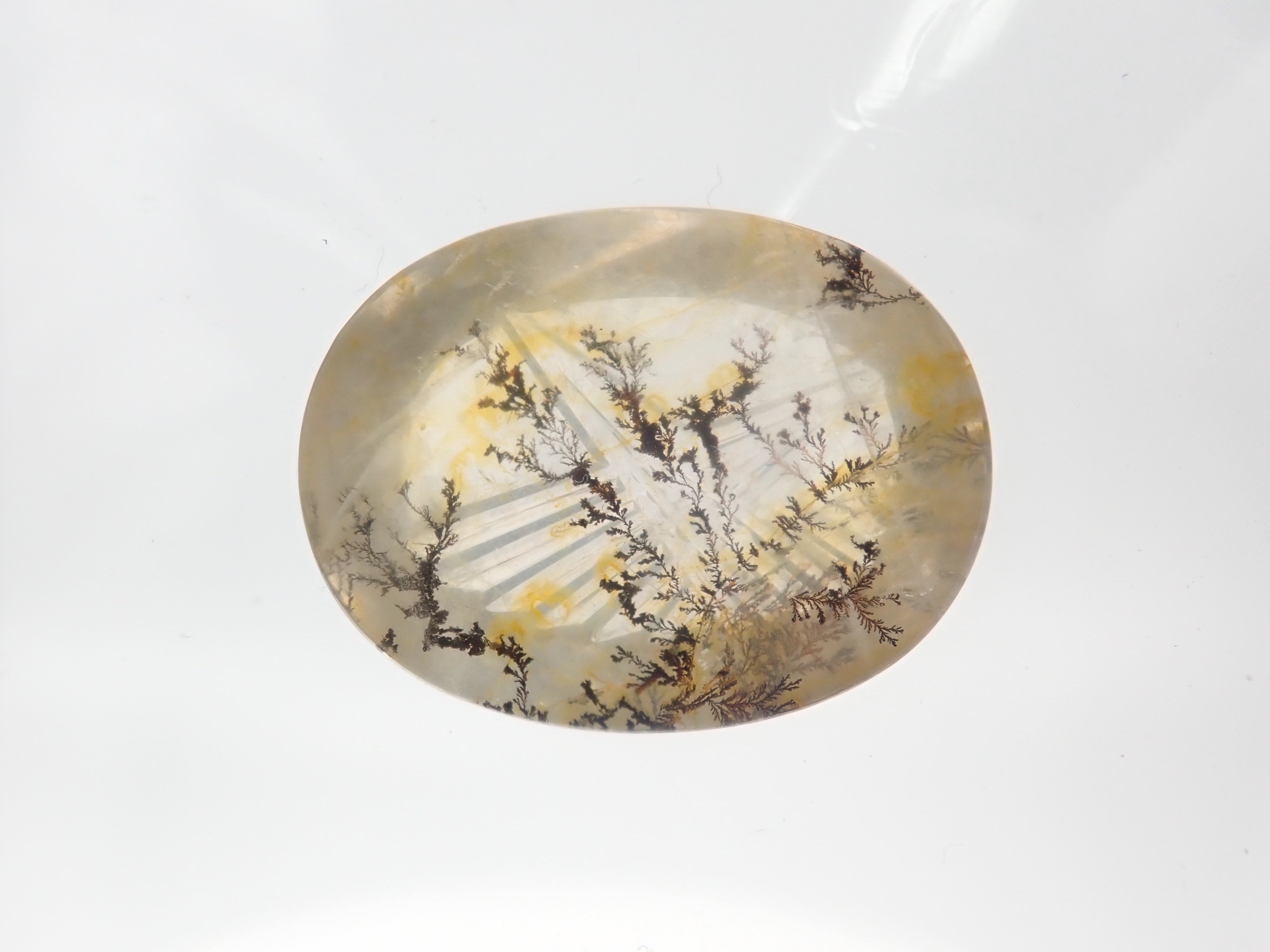 [On Sale / ] Limited to 11 Stones: Dendritic Quartz ① (including Koshu Precious Stone Cut) Gacha 1 Stone (Bonus Copper Rutile in Quartz 1 Stone) [Multiple Purchase Discounts Available]