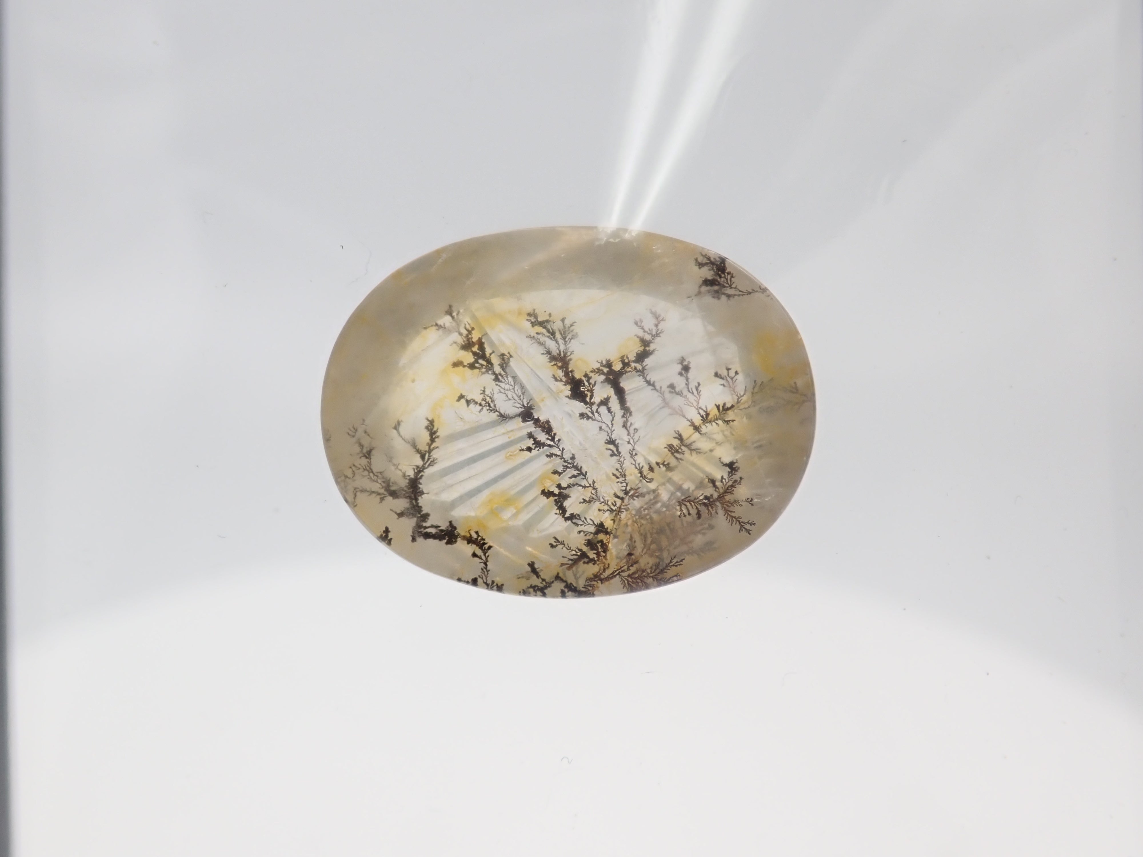 [On Sale / ] Limited to 11 Stones: Dendritic Quartz ① (including Koshu Precious Stone Cut) Gacha 1 Stone (Bonus Copper Rutile in Quartz 1 Stone) [Multiple Purchase Discounts Available]