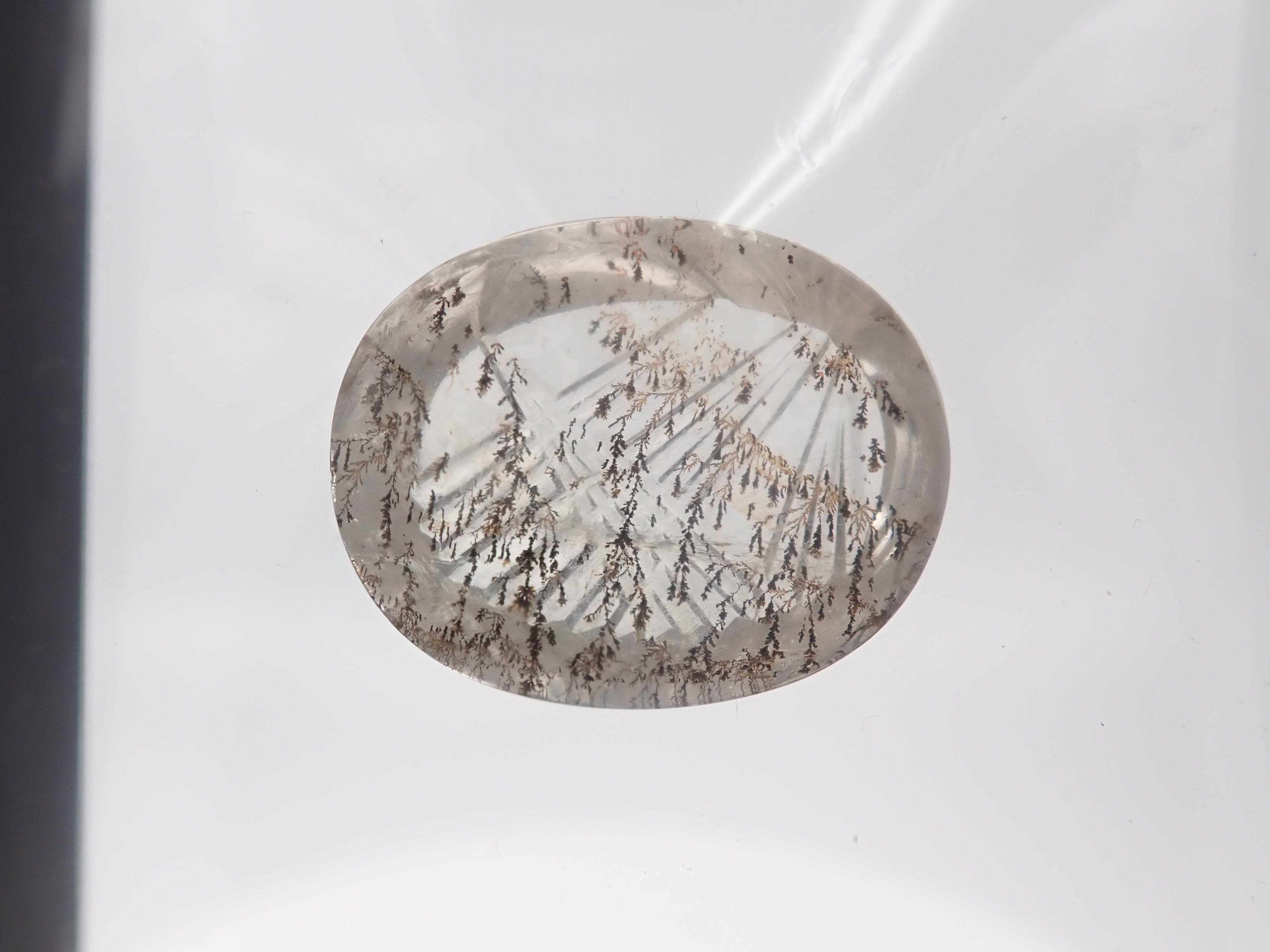 [On Sale / ] Limited to 11 Stones: Dendritic Quartz ① (including Koshu Precious Stone Cut) Gacha 1 Stone (Bonus Copper Rutile in Quartz 1 Stone) [Multiple Purchase Discounts Available]