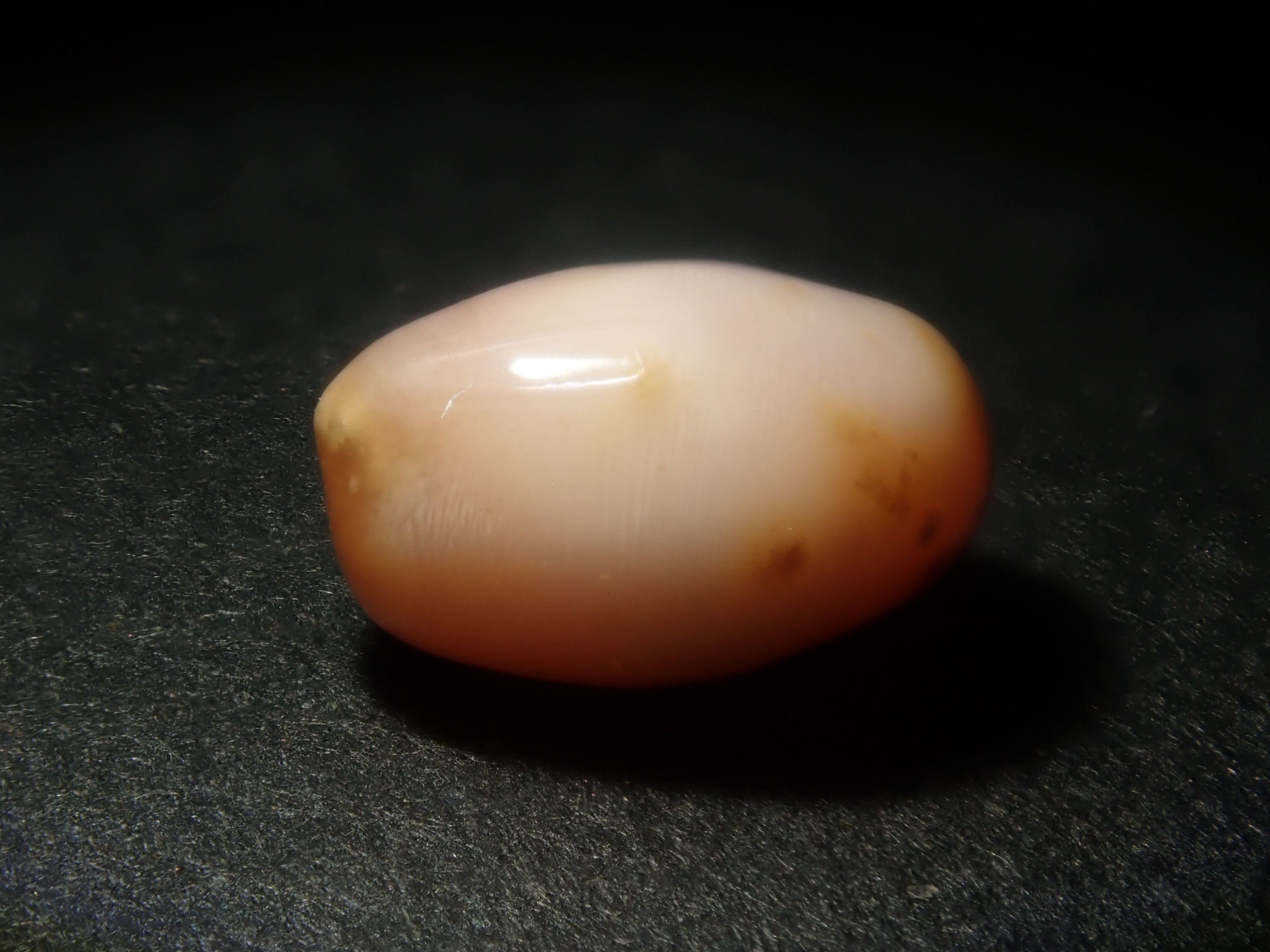 [Available at 10 PM on January 1st] Limited to 15 stones: Conch Pearl &amp; Shell Gacha, including Flame Patterns [Multiple purchase discounts available]