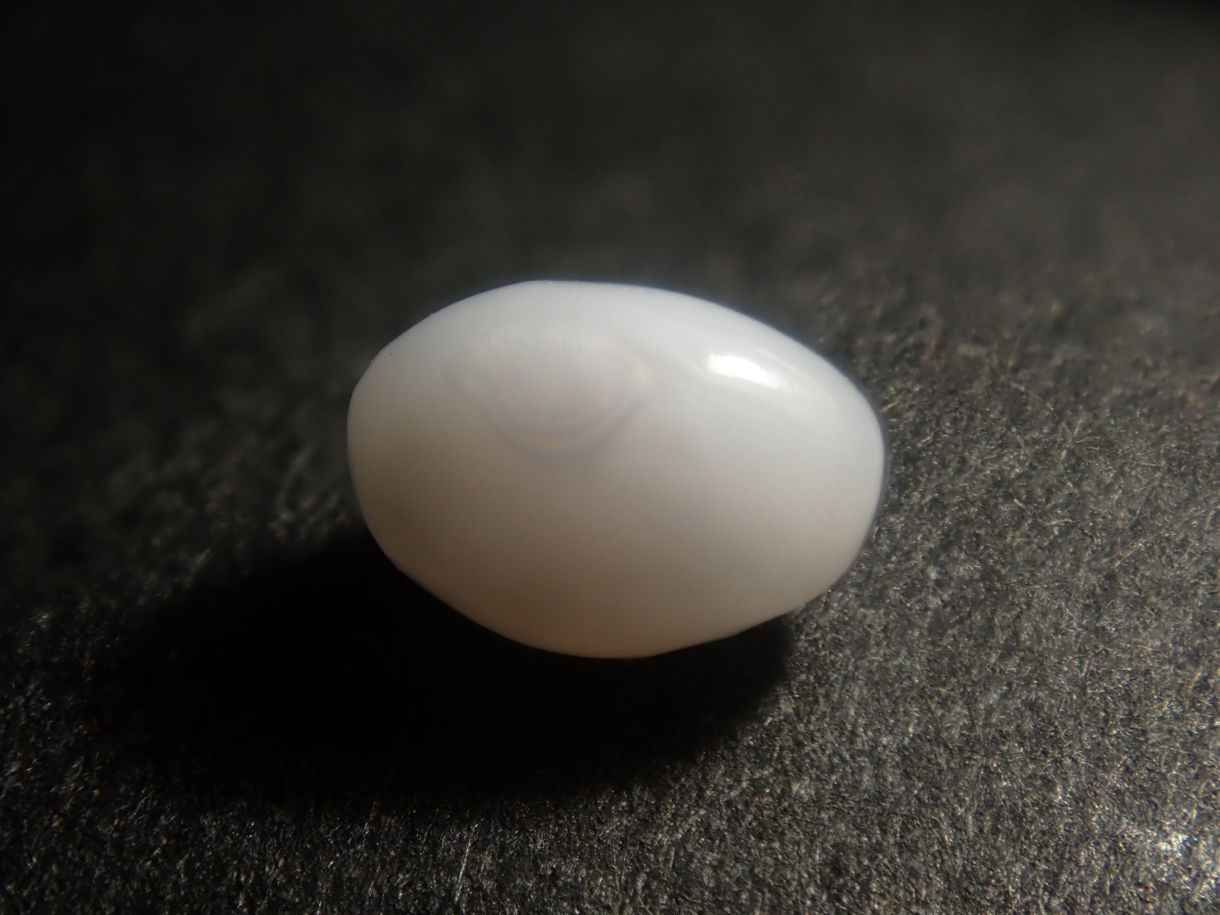 [Available at 10 PM on January 1st] Limited to 15 stones: Conch Pearl &amp; Shell Gacha, including Flame Patterns [Multiple purchase discounts available]