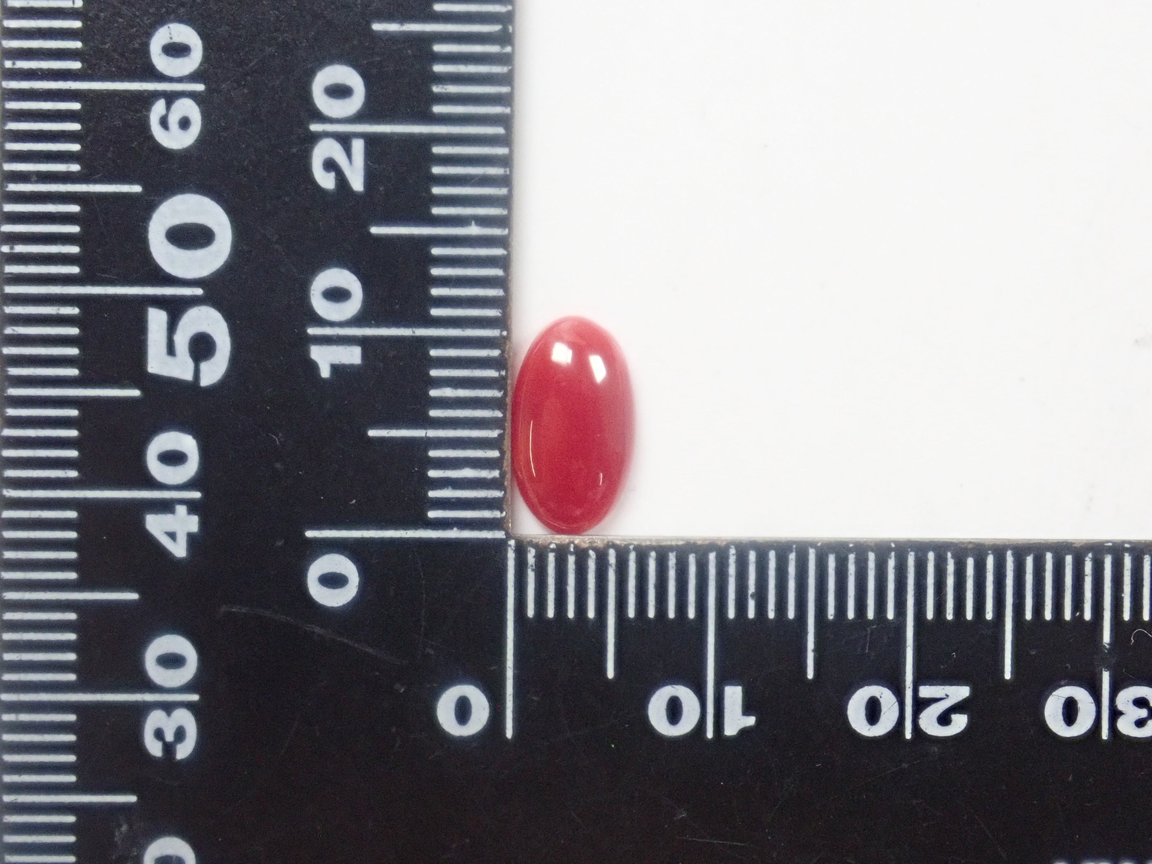 血赤珊瑚 1.286ctルース