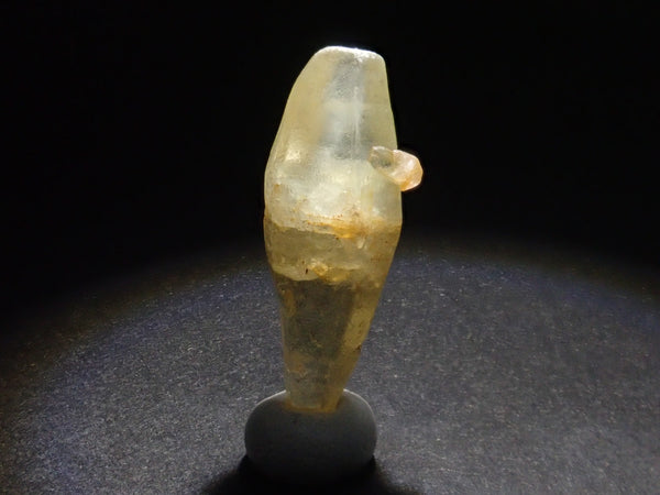 P1010856_grande.jpg?v=1724936391