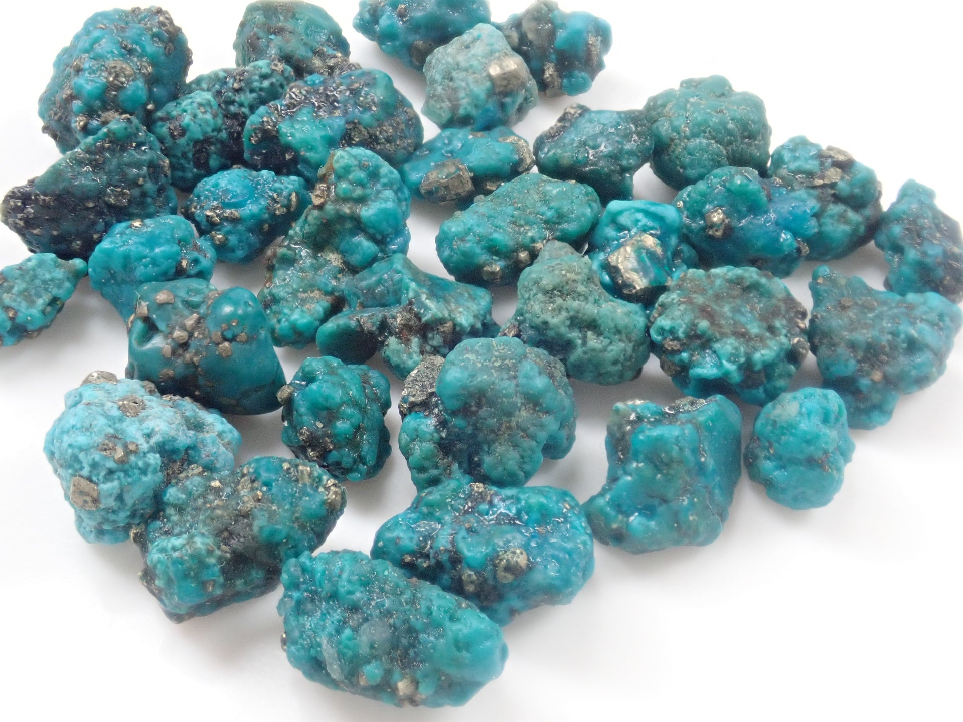 P1011015.jpg?v=1732921801&  