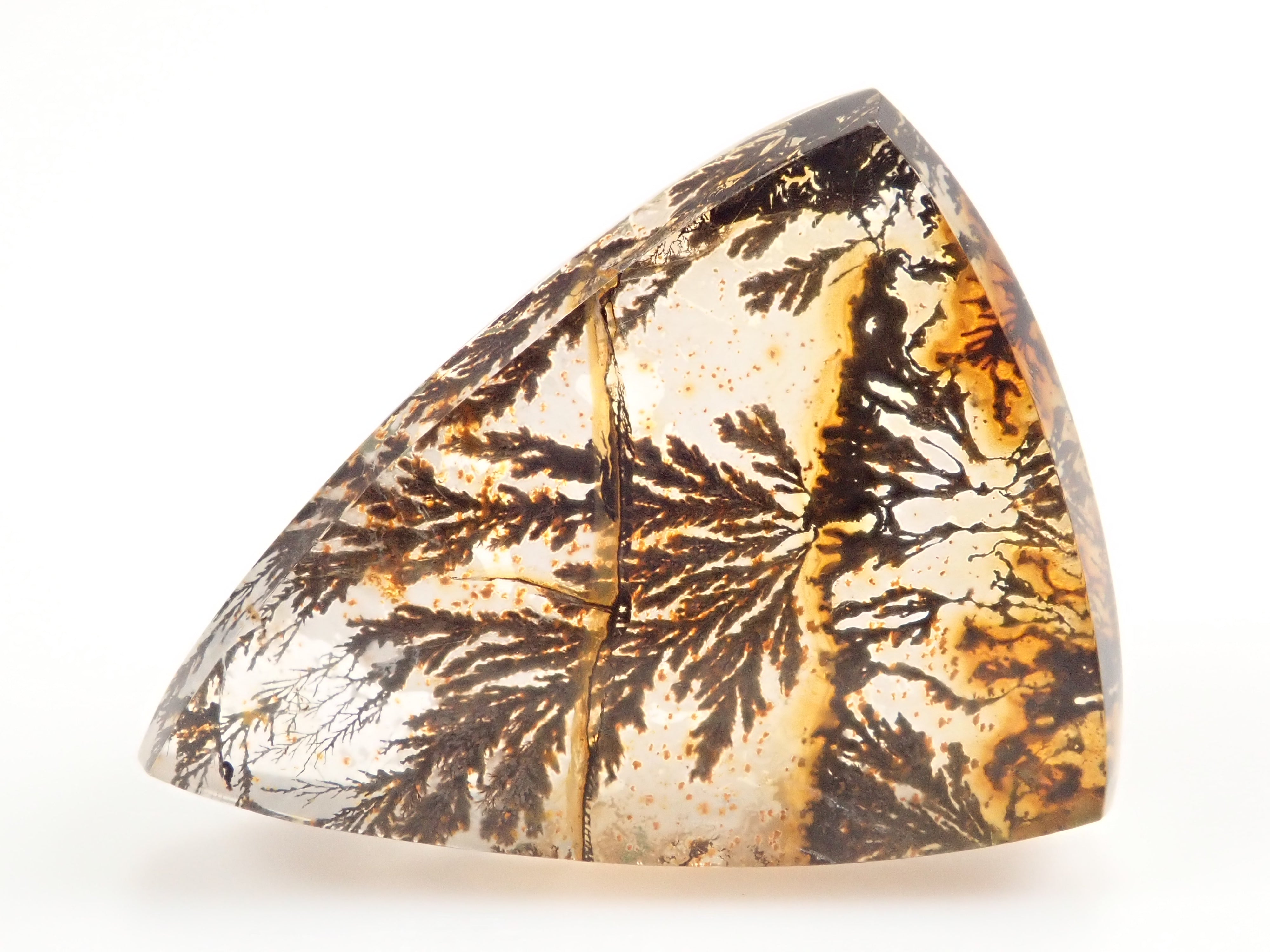 山本武氏】ブラジル産デンドリティッククォーツ 25.875ctルース