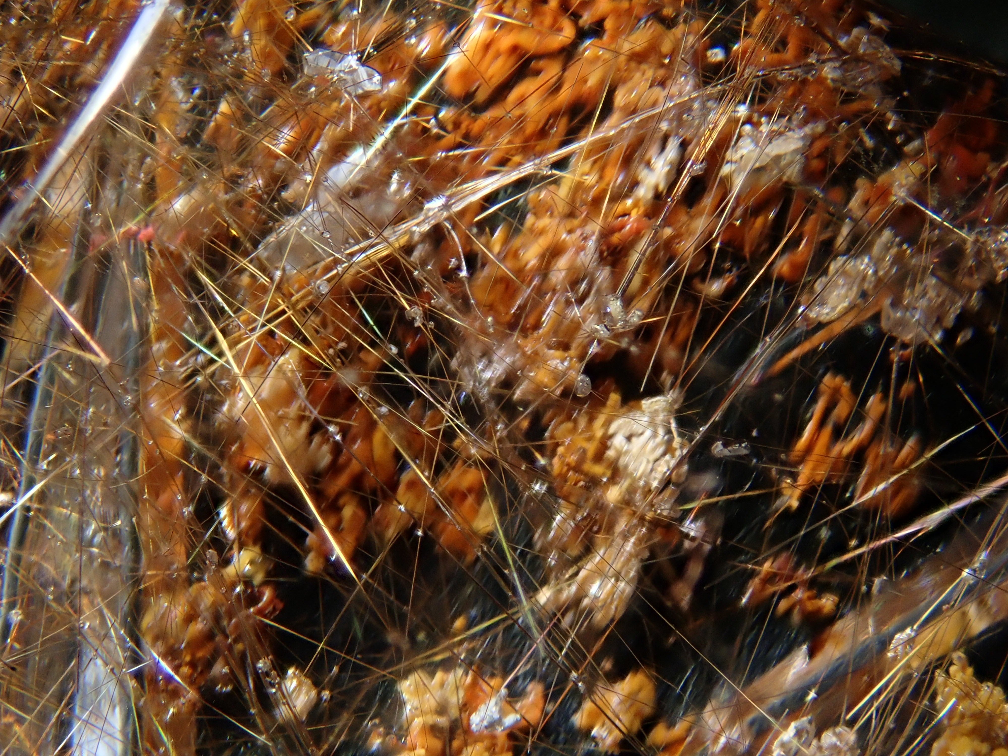 12561791掲載】ブラジル産ガーデンクォーツ 47.809ctルース