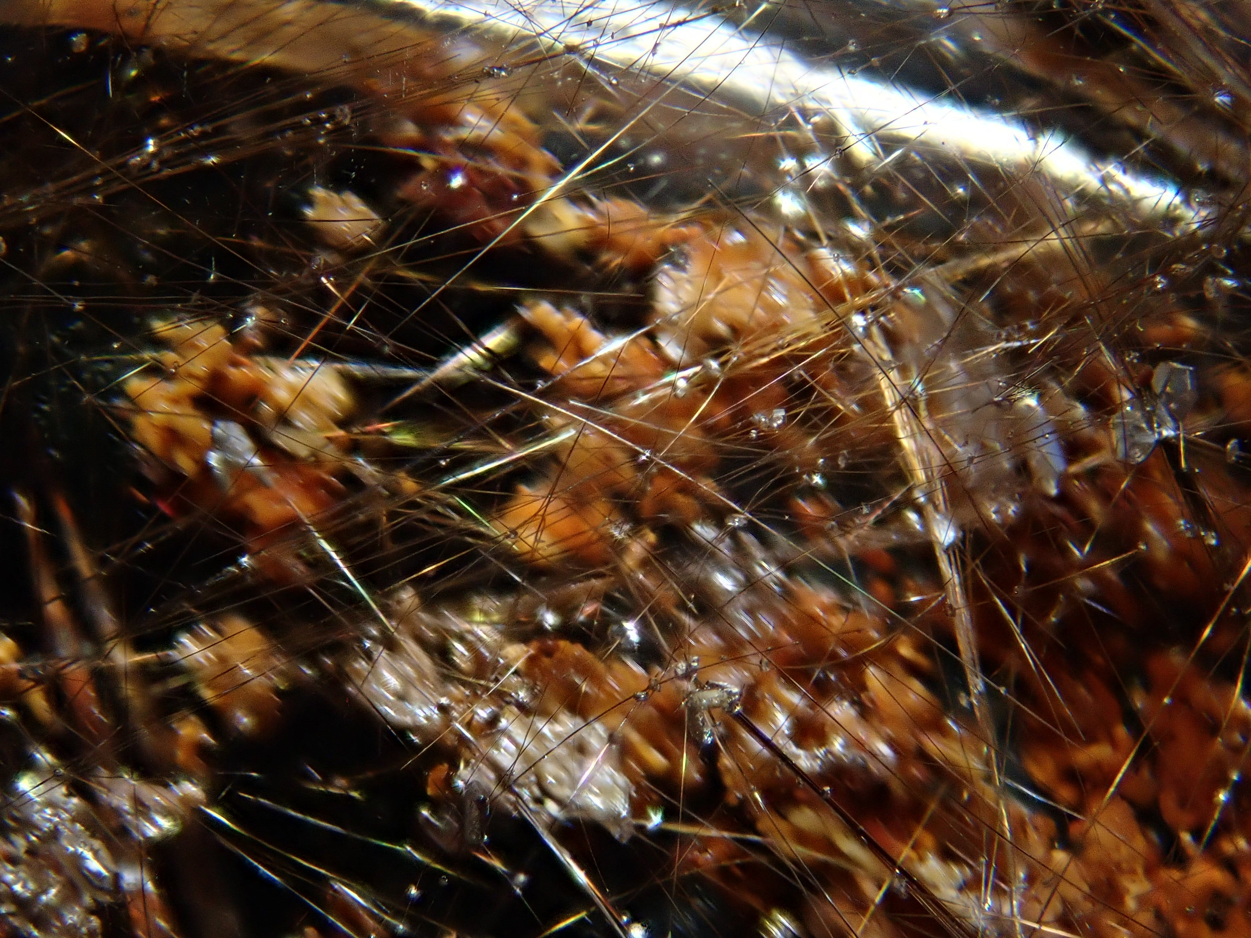 Lottery Sale ① [Reserved for Winners] [Published on 12561791] [Koshu Precious Stones plusthree] Brazilian Garden Quartz 47.809ct Loose Stone