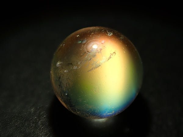 P1232670_grande.jpg?v=1737977807