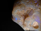 オーストラリア産シェルオパール 53.277ct原石