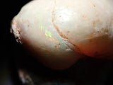 オーストラリア産シェルオパール（貝オパール） 96.177ct原石