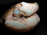 オーストラリア産シェルオパール（貝オパール） 96.177ct原石