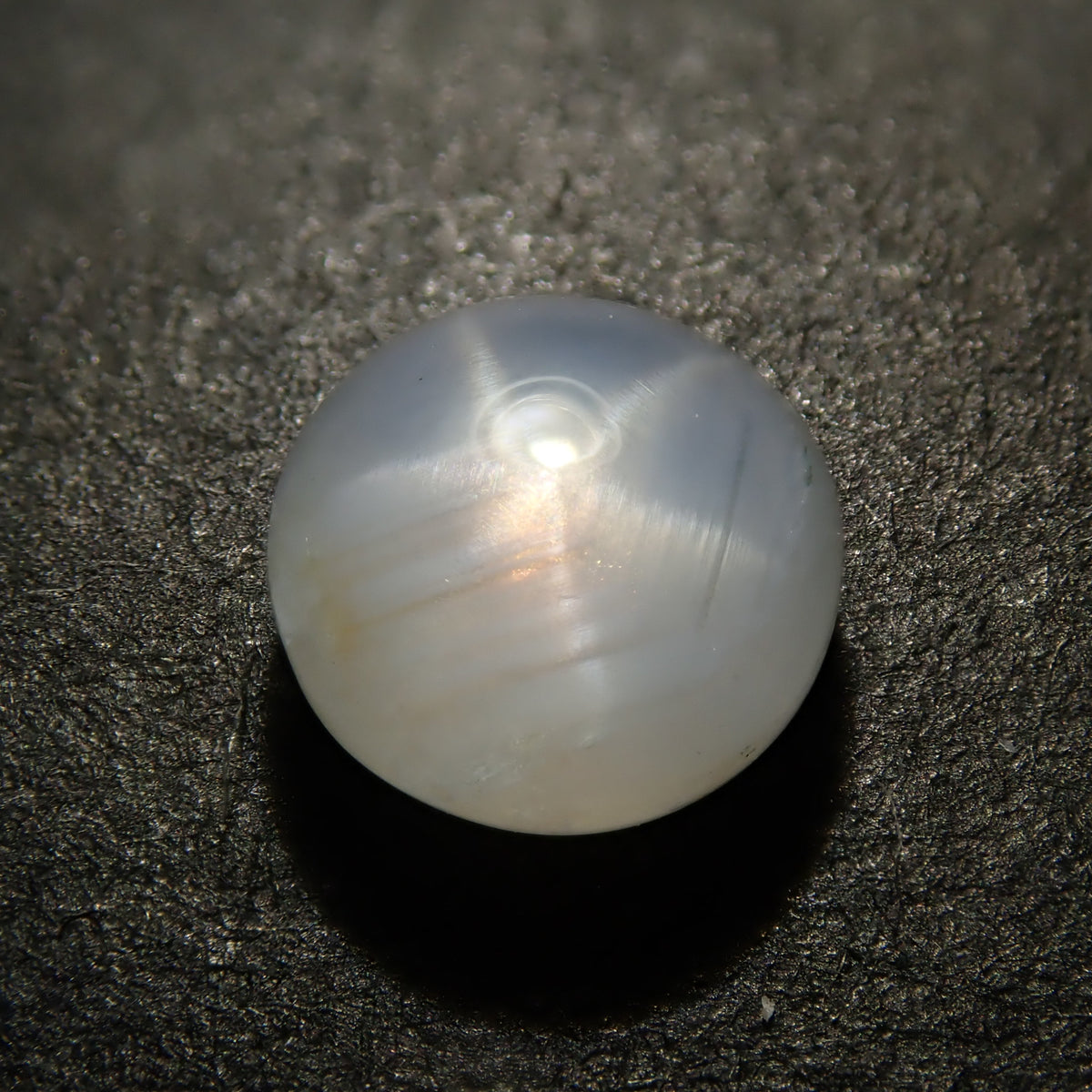 P2071039.jpg?crop=center&  