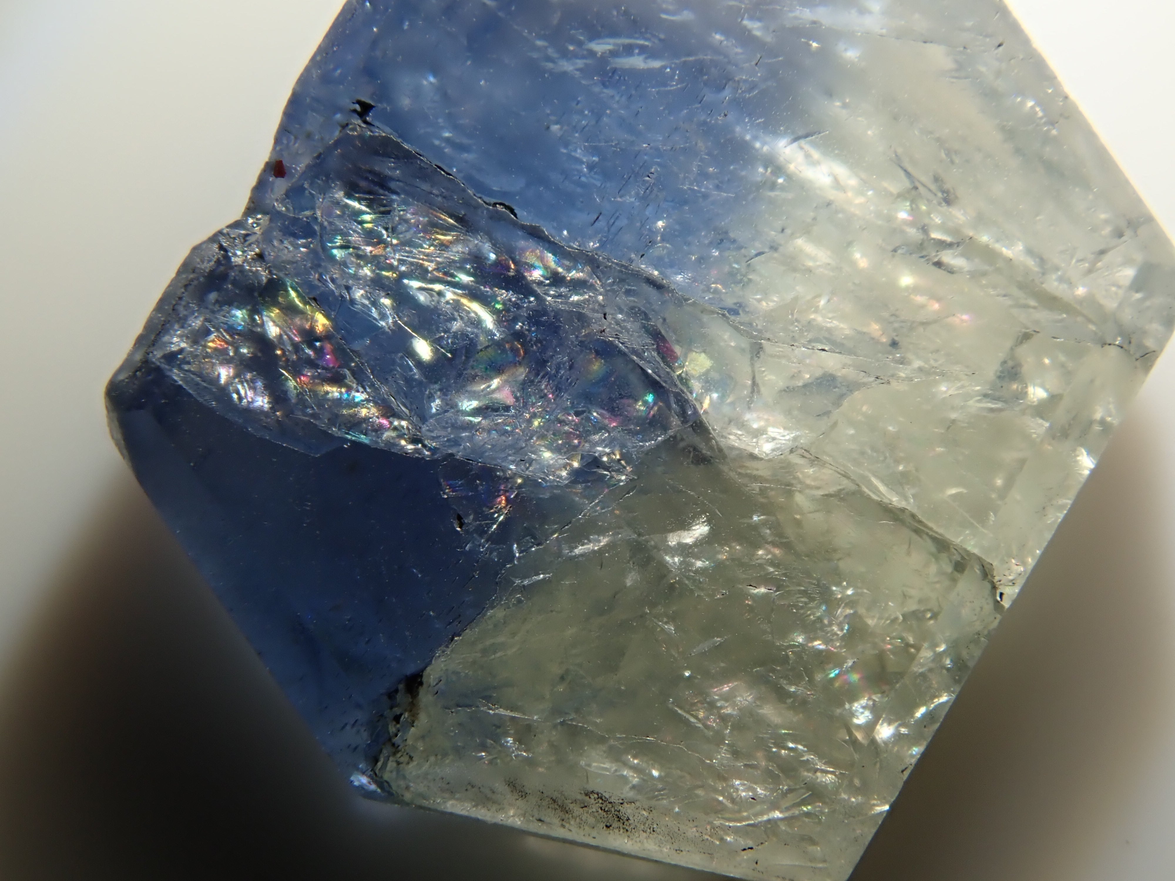 【12548919掲載】非加熱バイカラーサファイア 2.600ctルース