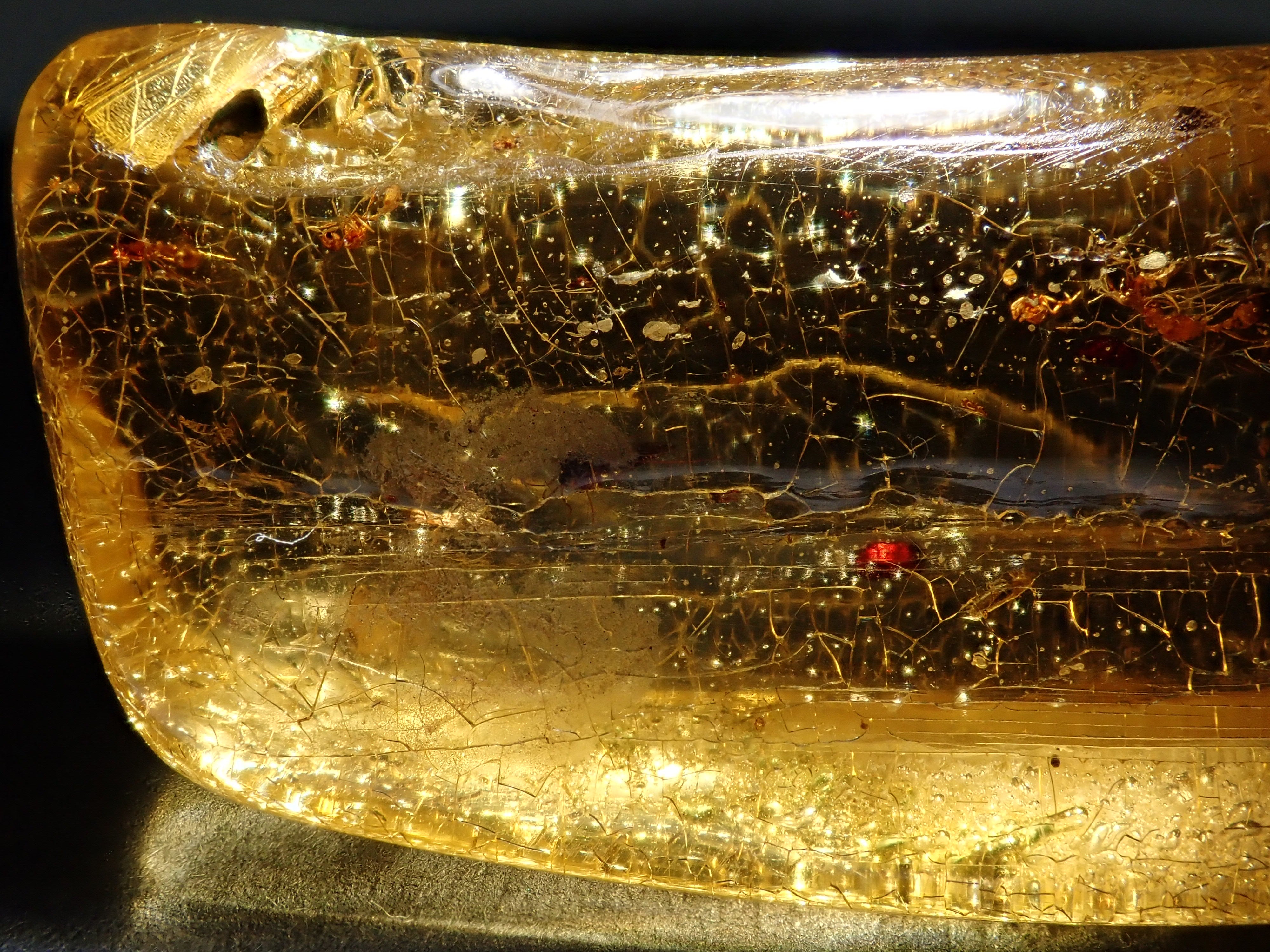 琥珀（こはく）/コパル 41.008ctルース