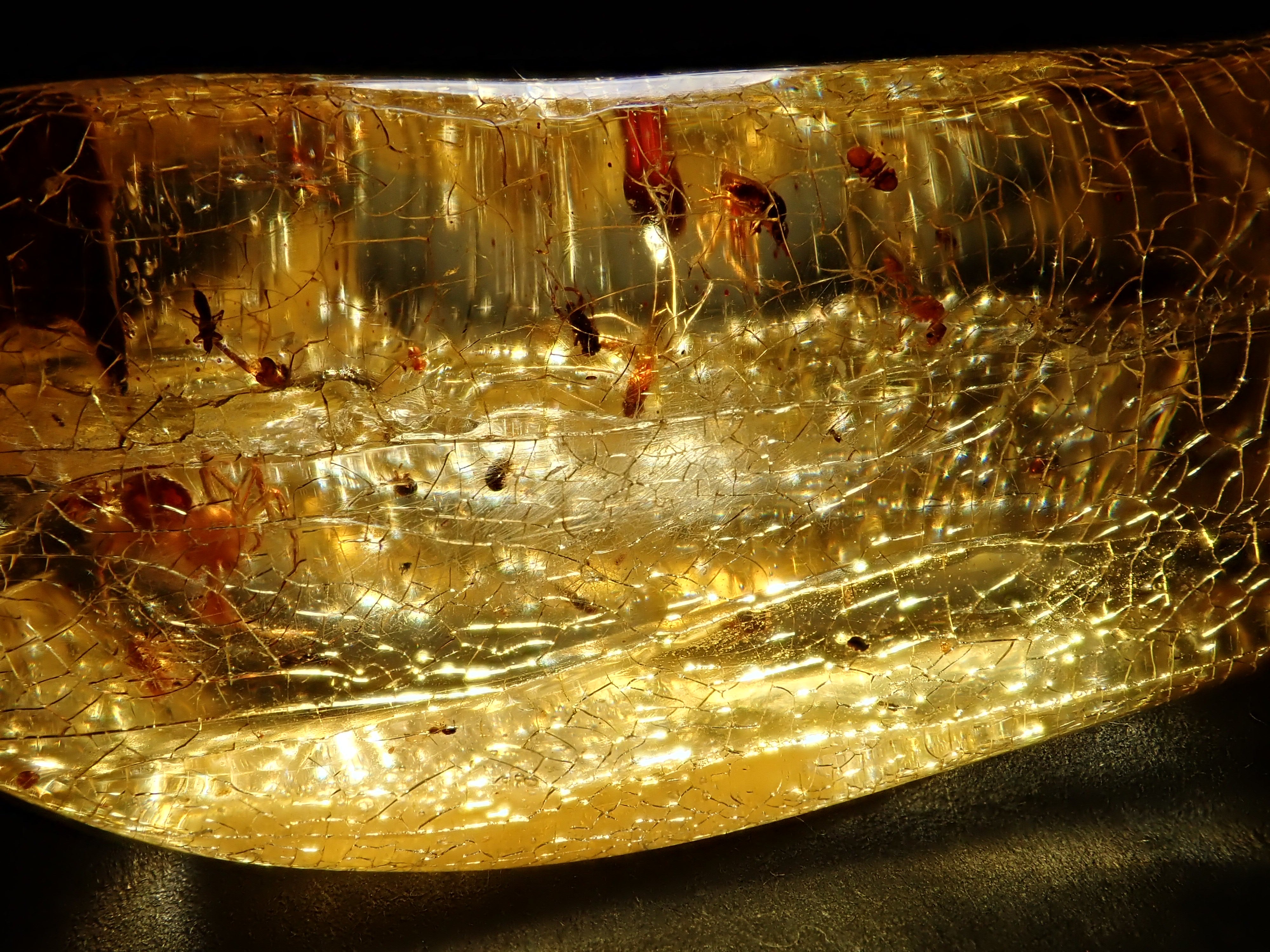 【2/15 22時販売】琥珀（こはく）/コパル 41.008ctルース（虫入り）