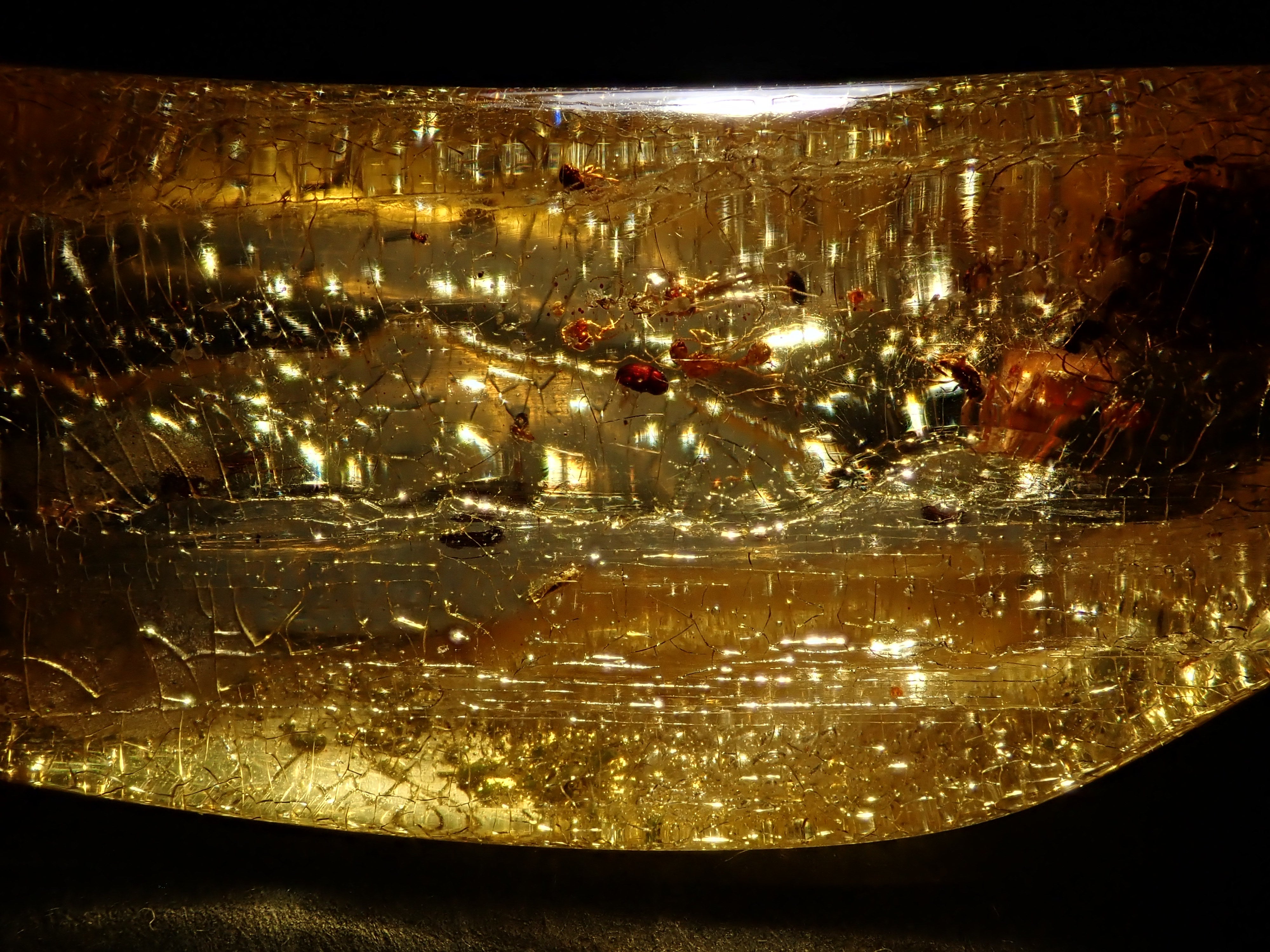 【2/15 22時販売】琥珀（こはく）/コパル 41.008ctルース（虫入り）