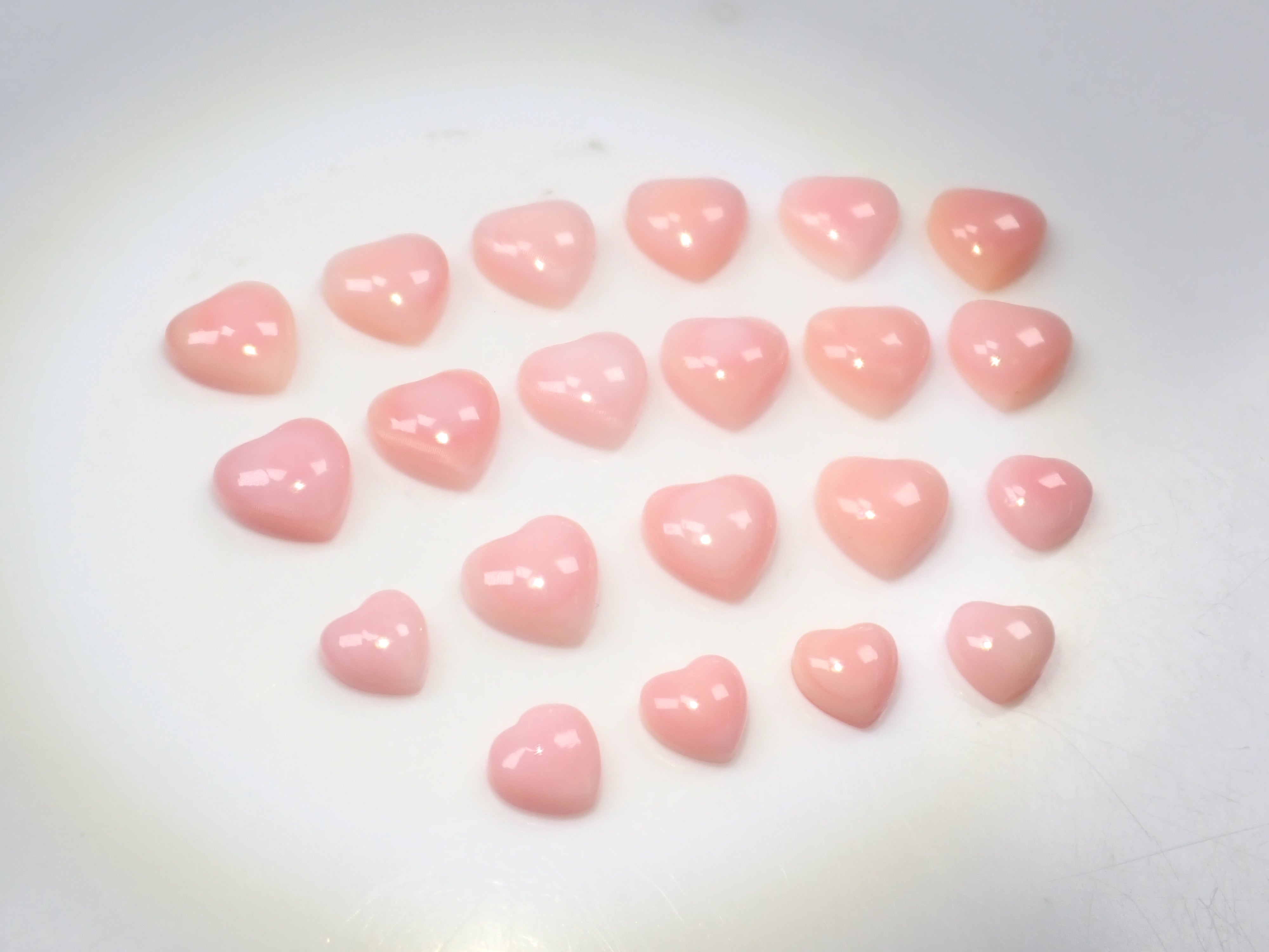 【3/1 22時販売】《限定21石》火焔模様入り含むドミニカ共和国産コンクパール&シェルガチャ1石ルース《複数購入割引有》　