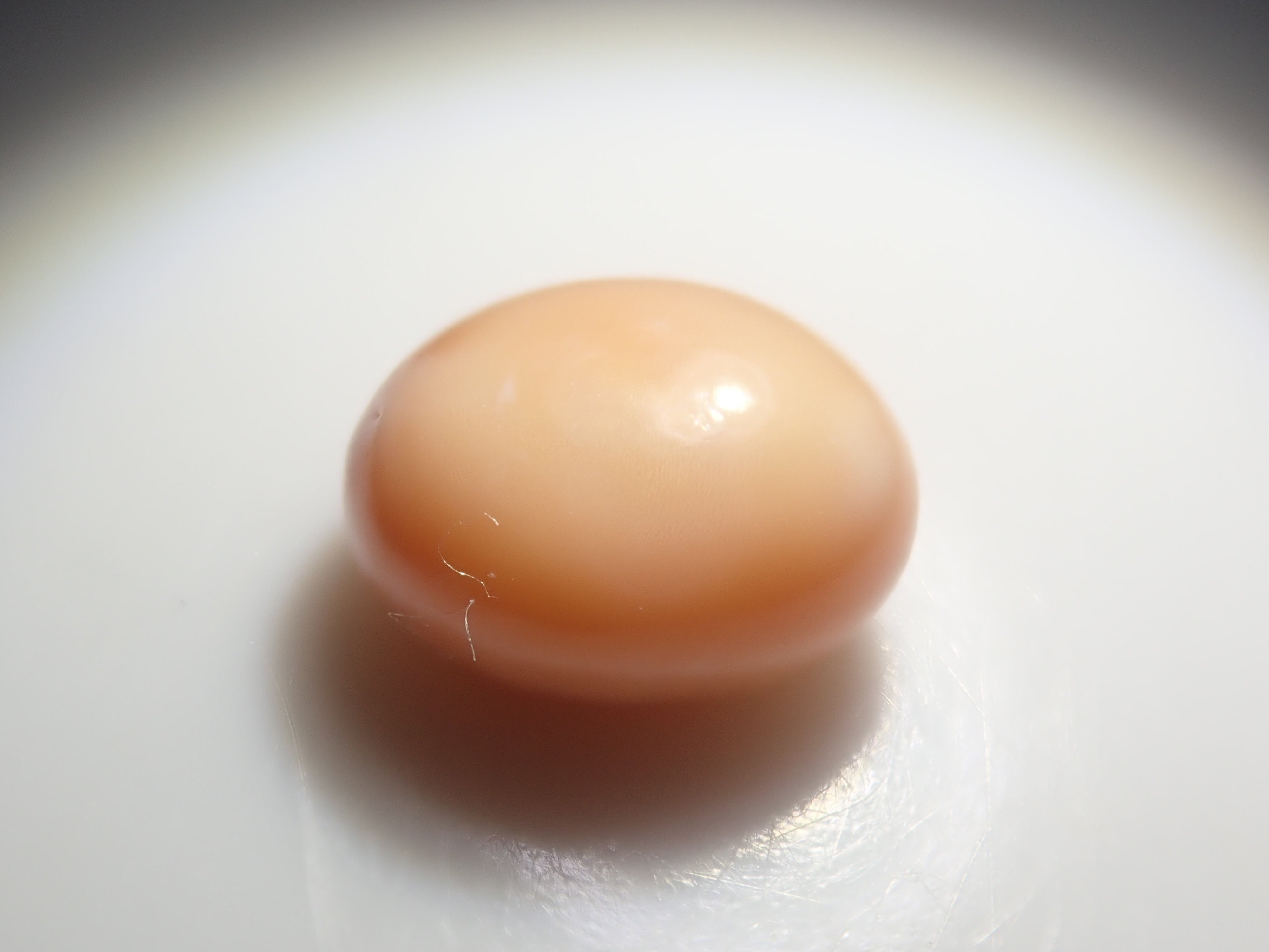 【3/1 22時販売】《限定21石》火焔模様入り含むドミニカ共和国産コンクパール&シェルガチャ1石ルース《複数購入割引有》　