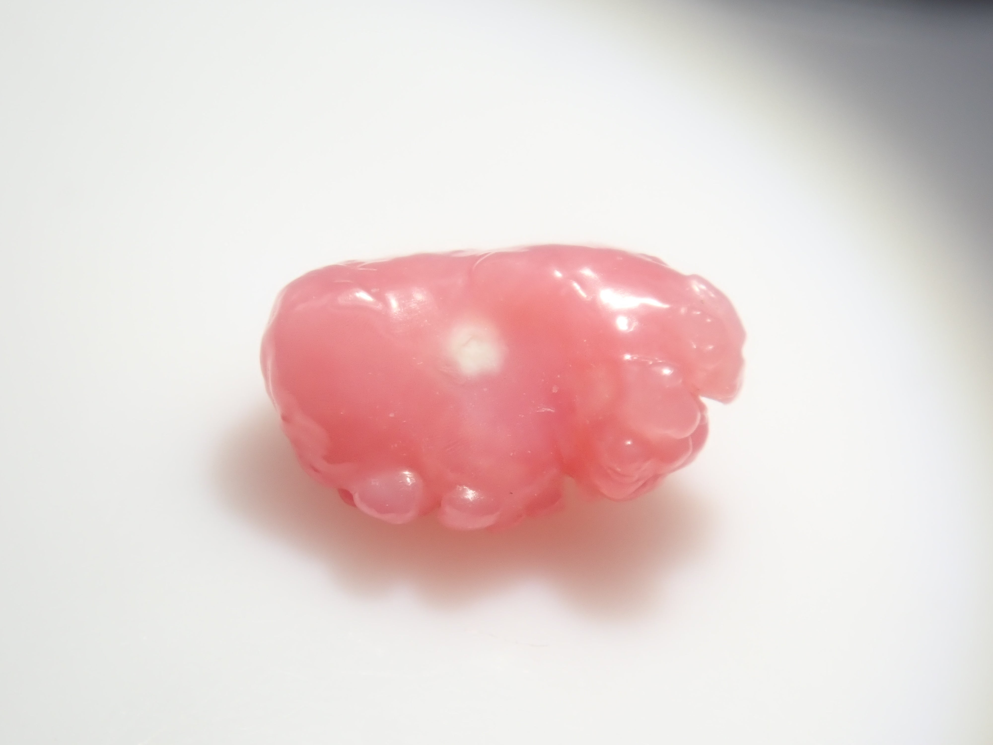 【3/1 22時販売】《限定21石》火焔模様入り含むドミニカ共和国産コンクパール&シェルガチャ1石ルース《複数購入割引有》　