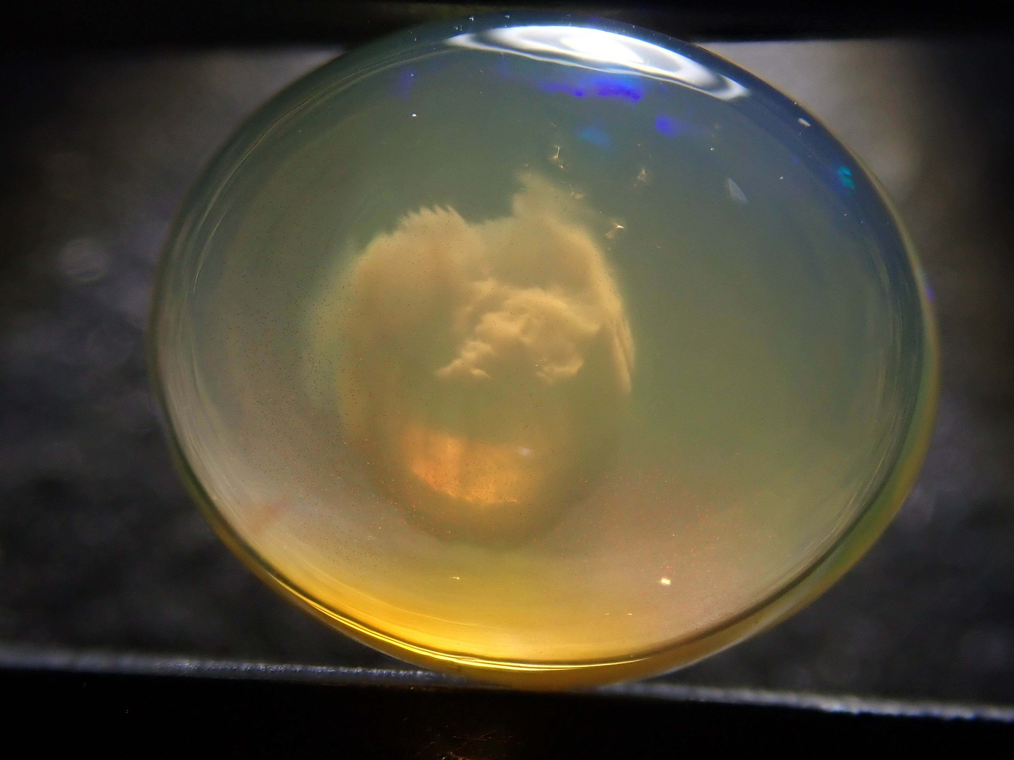 【12562002掲載】メキシコ産エッグインオパール 3.646ctルース