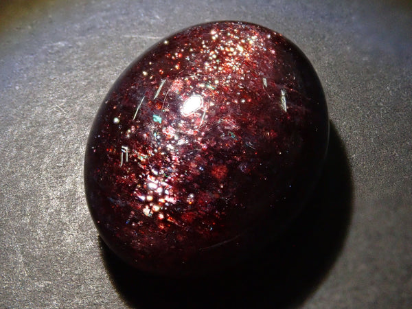  Blood　ロイヤルブラッド　サラブレッド　サンデーサイレンス Zamedle Lolow Zeaze Nazamsandriga | Blood Blockade