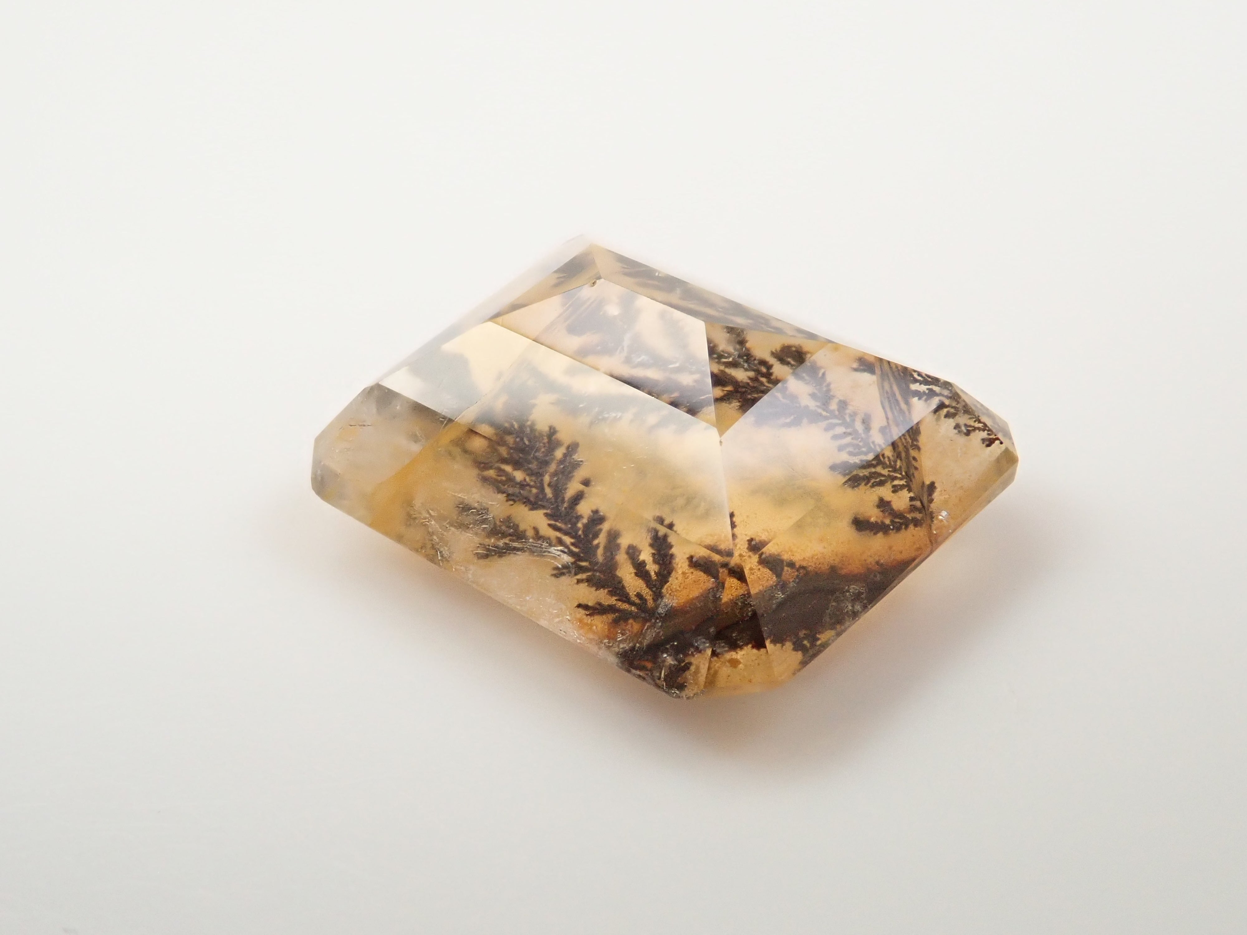 【12562080掲載】ブラジル産デンドリティッククォーツ 4.182ctルース