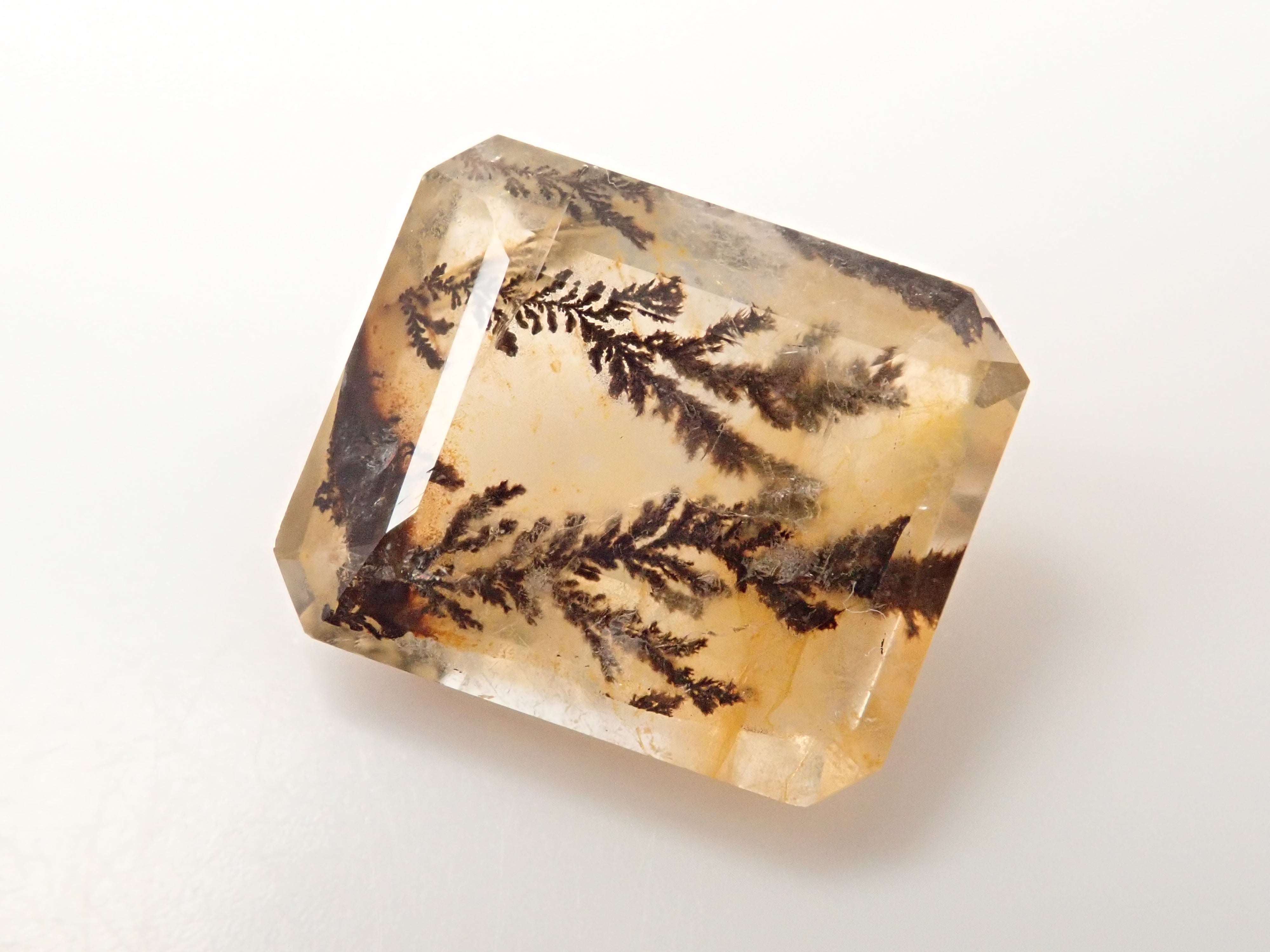 【12562080掲載】ブラジル産デンドリティッククォーツ 4.182ctルース