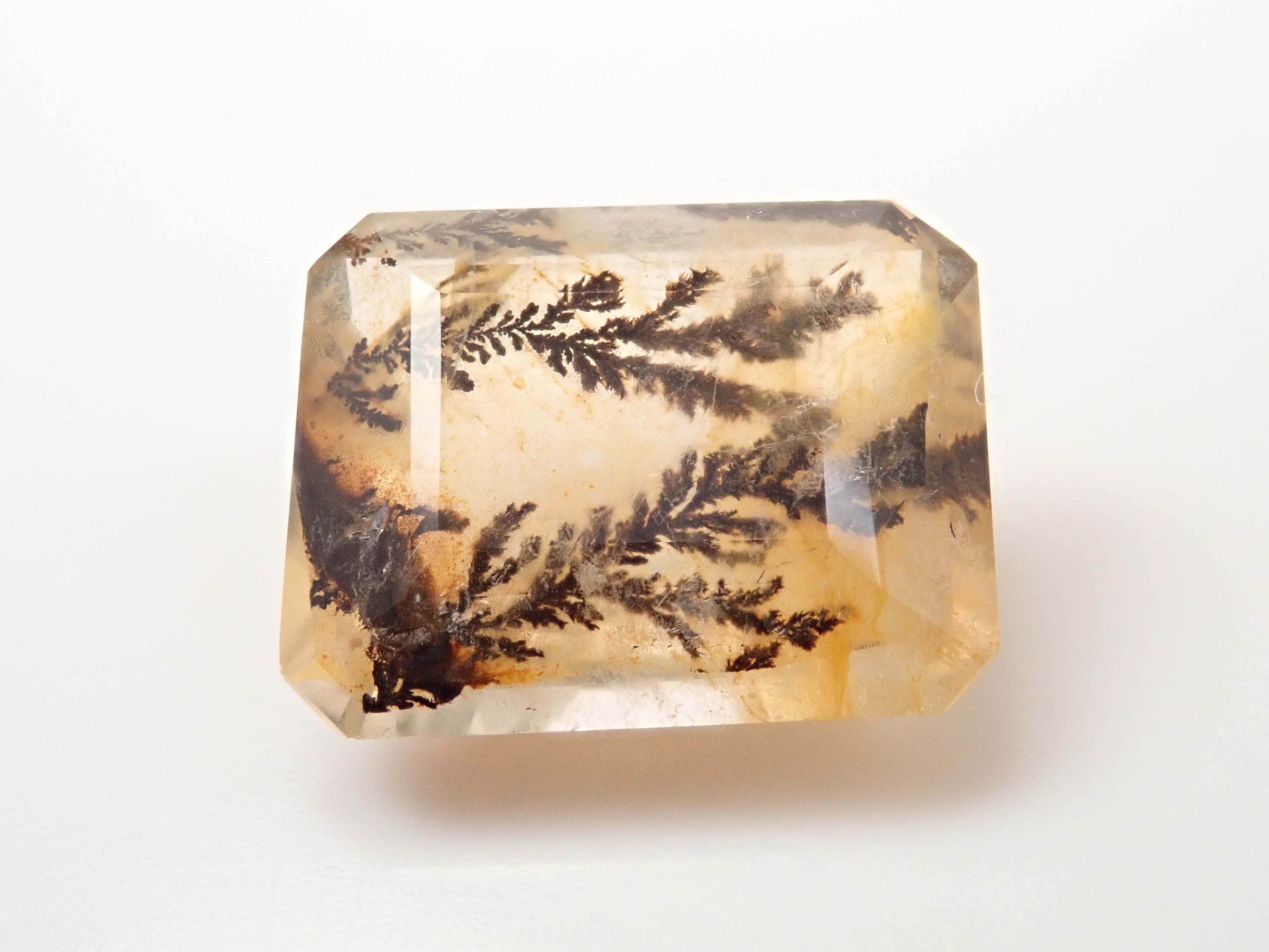 【12562080掲載】ブラジル産デンドリティッククォーツ 4.182ctルース