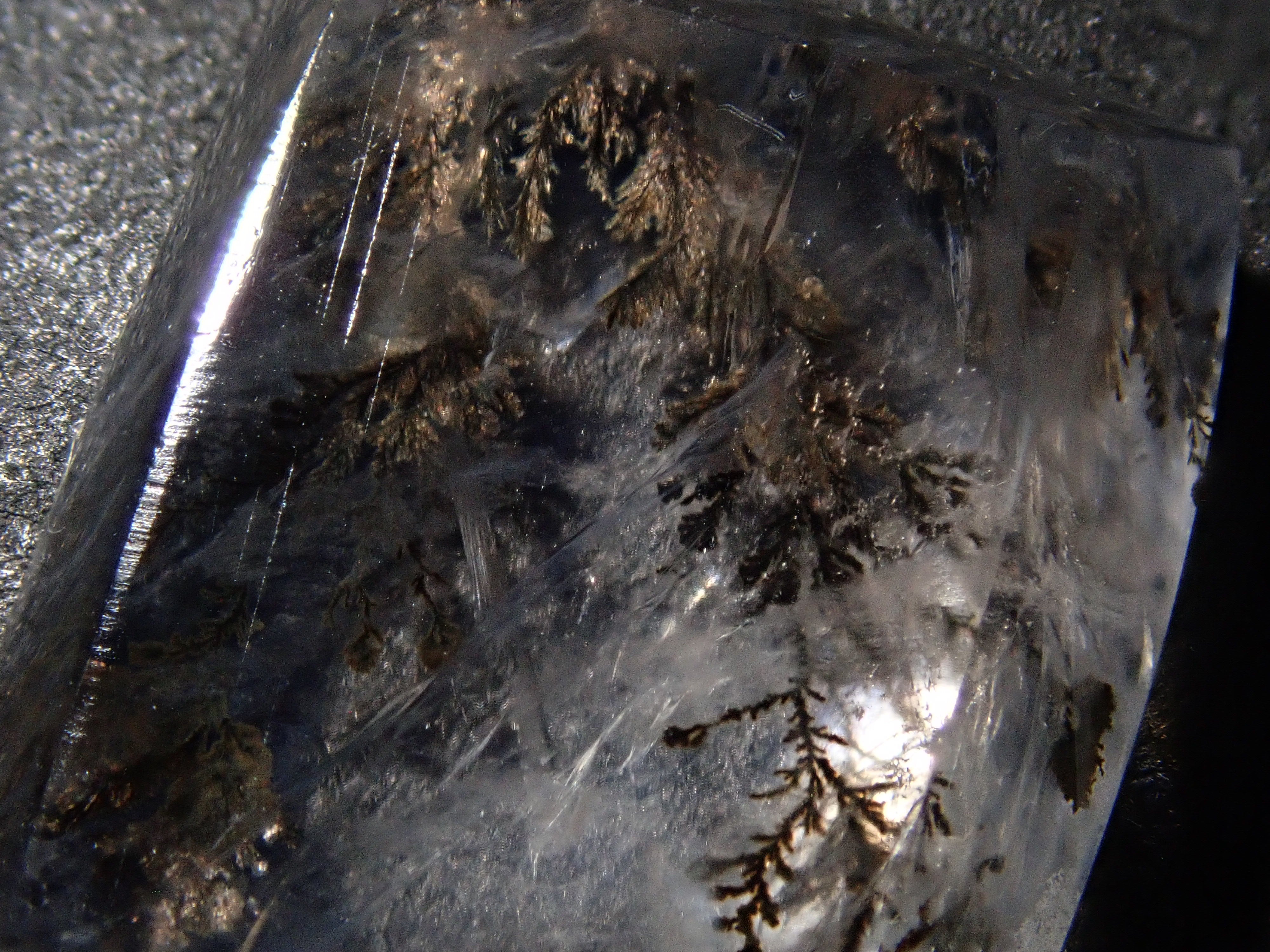 【12562081掲載】ブラジル産デンドリティッククォーツ 8.598ctルース