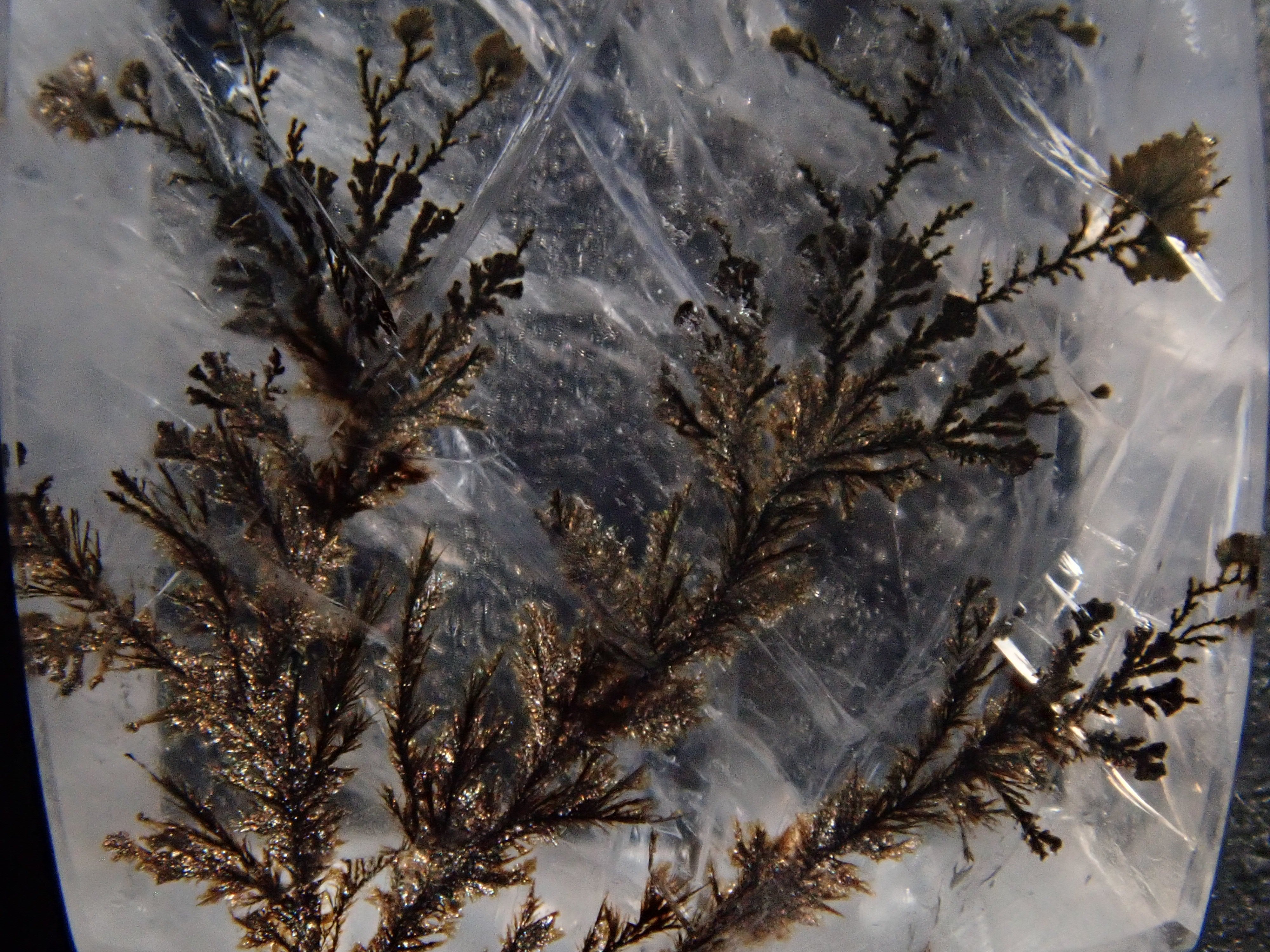 【12562081掲載】ブラジル産デンドリティッククォーツ 8.598ctルース