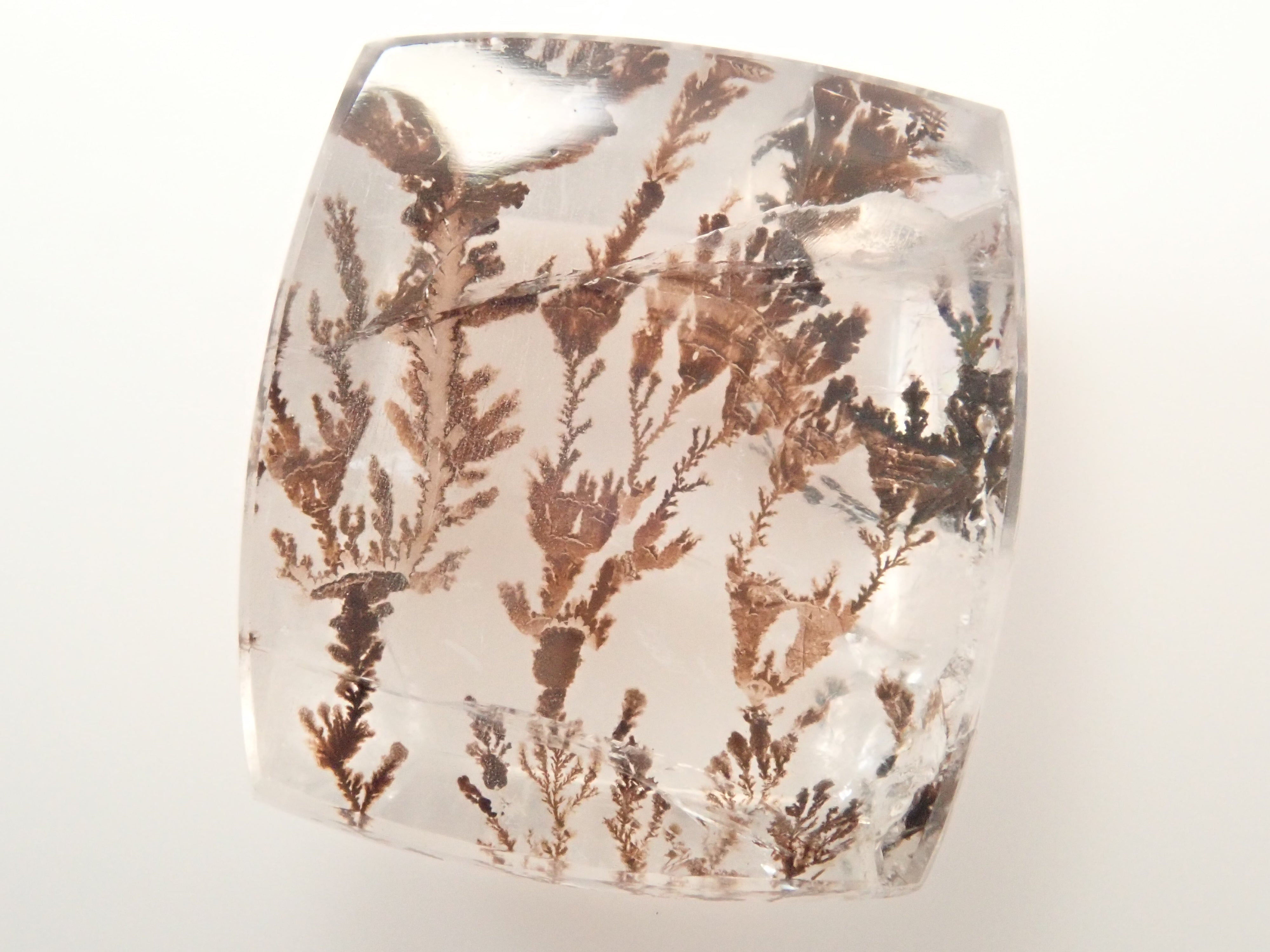 【12562082掲載】ブラジル産デンドリティッククォーツ 6.059ctルース