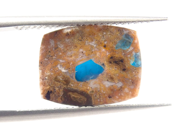 Brazilian Apatite in Jasper 1 Stone Loose {Multiple Purchase Discounts Available}