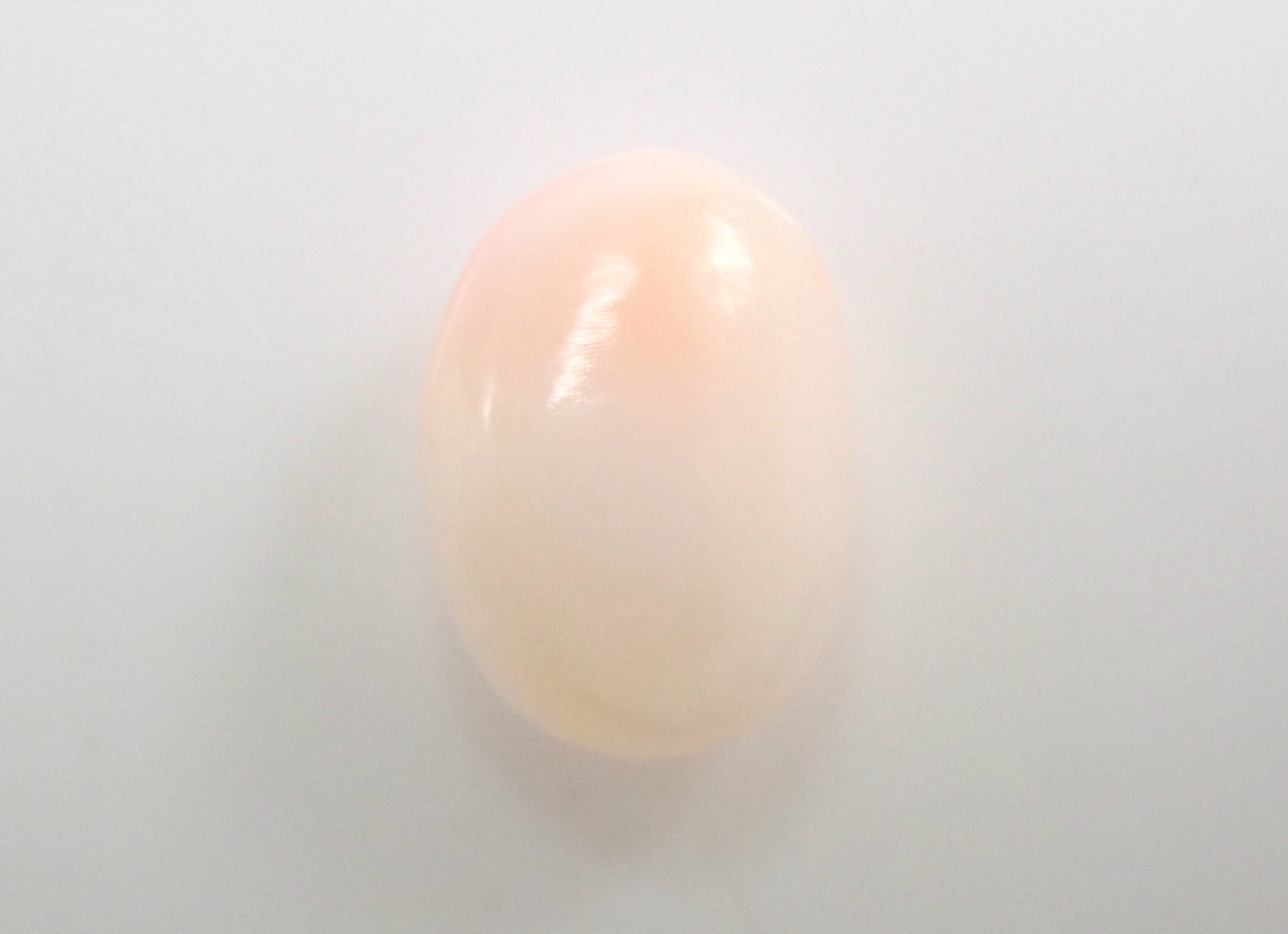 Conch pearl 1.855ct loose