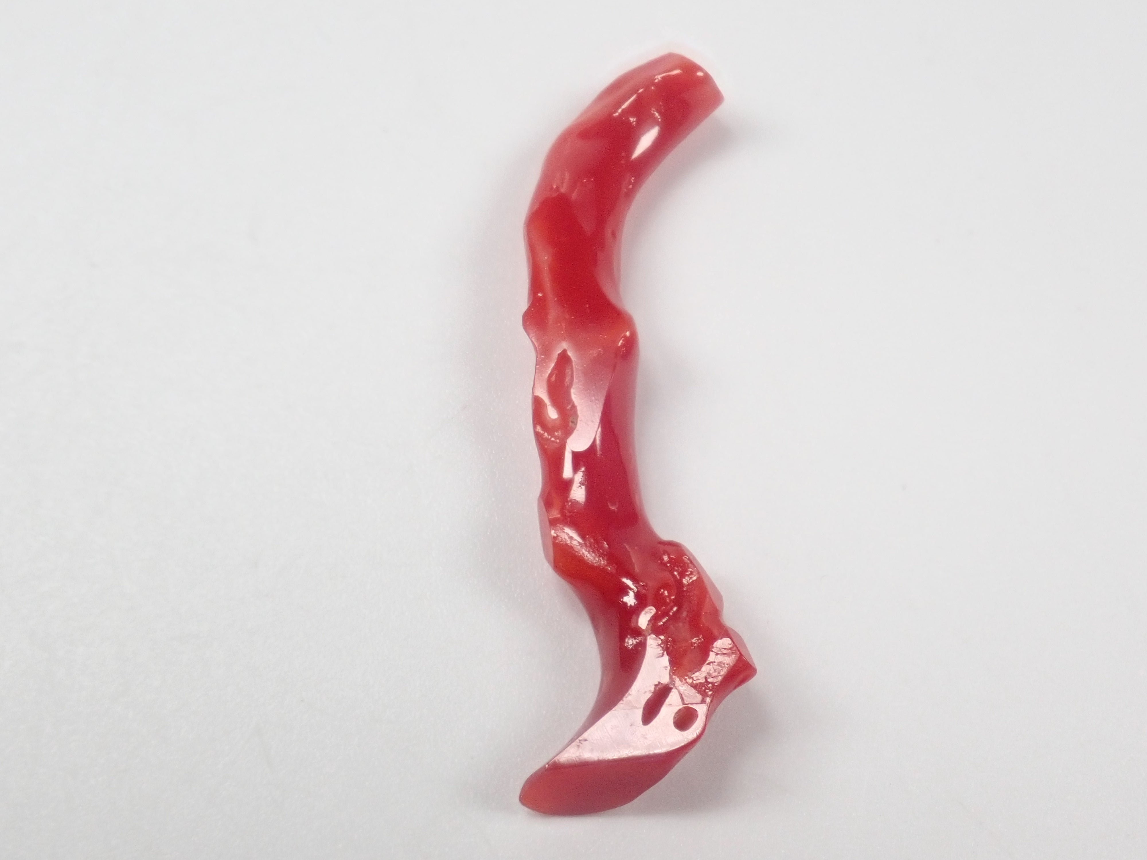 【3/29 22時販売】高知県産血赤珊瑚 原木ルース1石（3月誕生石、コーラル）《複数購入割引有》