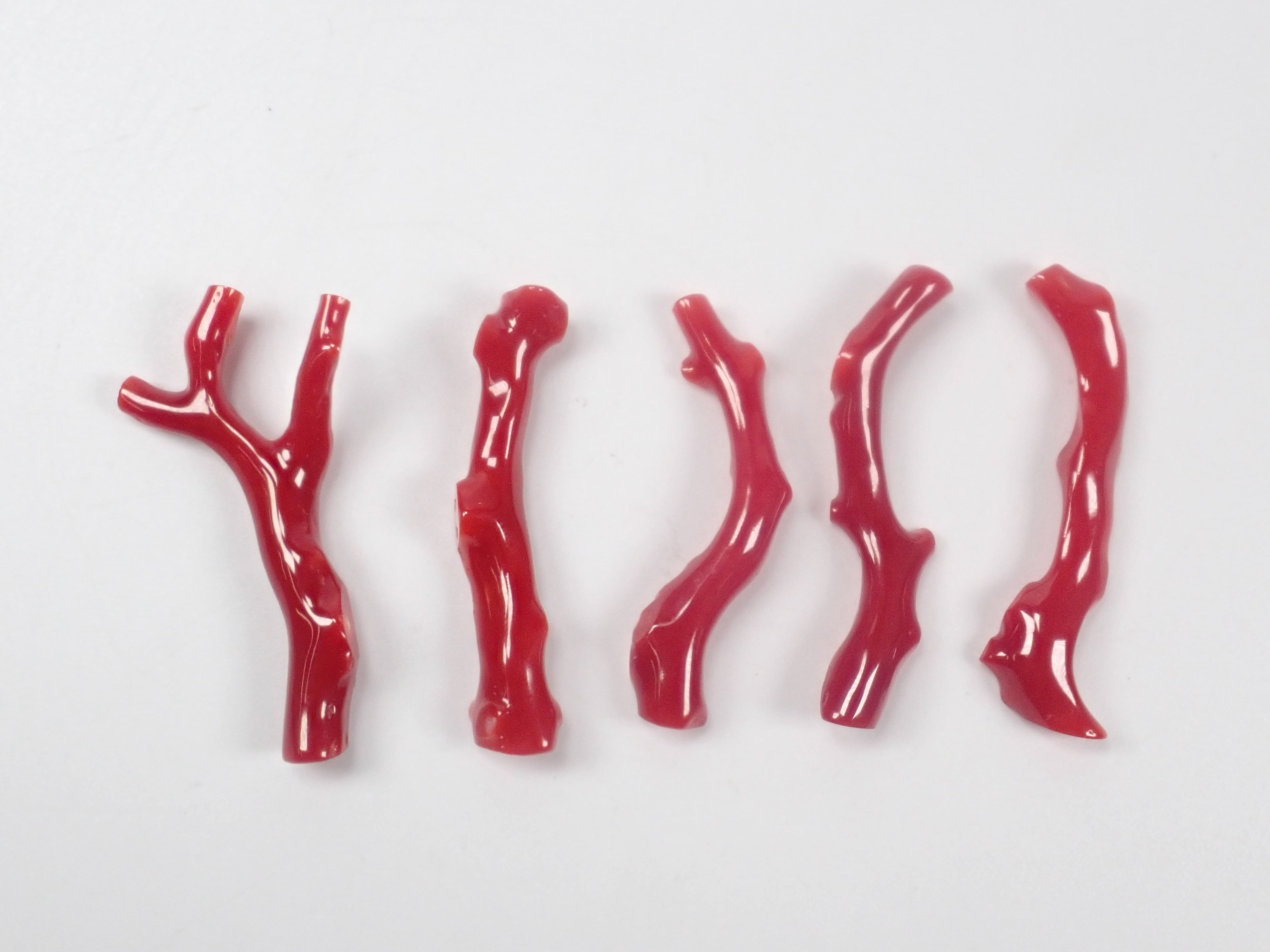 【3/29 22時販売】高知県産血赤珊瑚 原木ルース1石（3月誕生石、コーラル）《複数購入割引有》