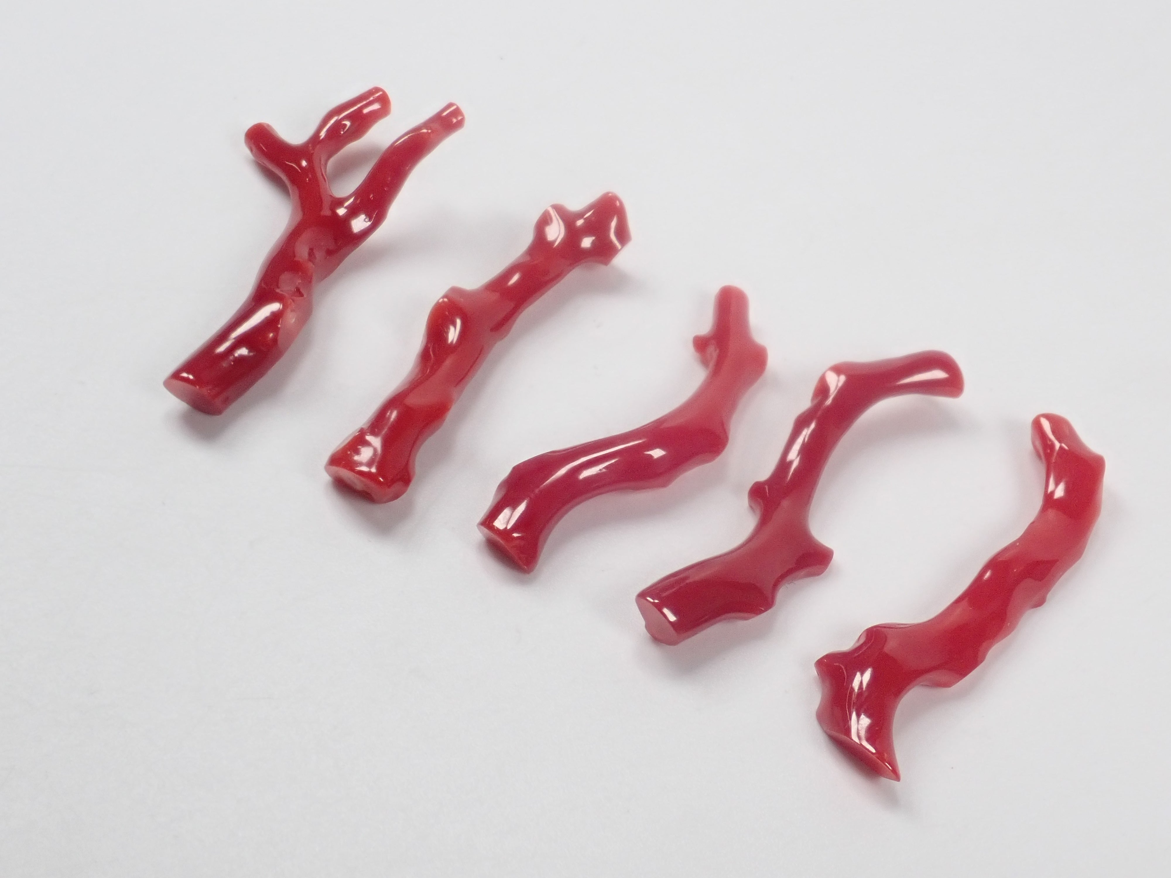 【3/29 22時販売】高知県産血赤珊瑚 原木ルース1石（3月誕生石、コーラル）《複数購入割引有》