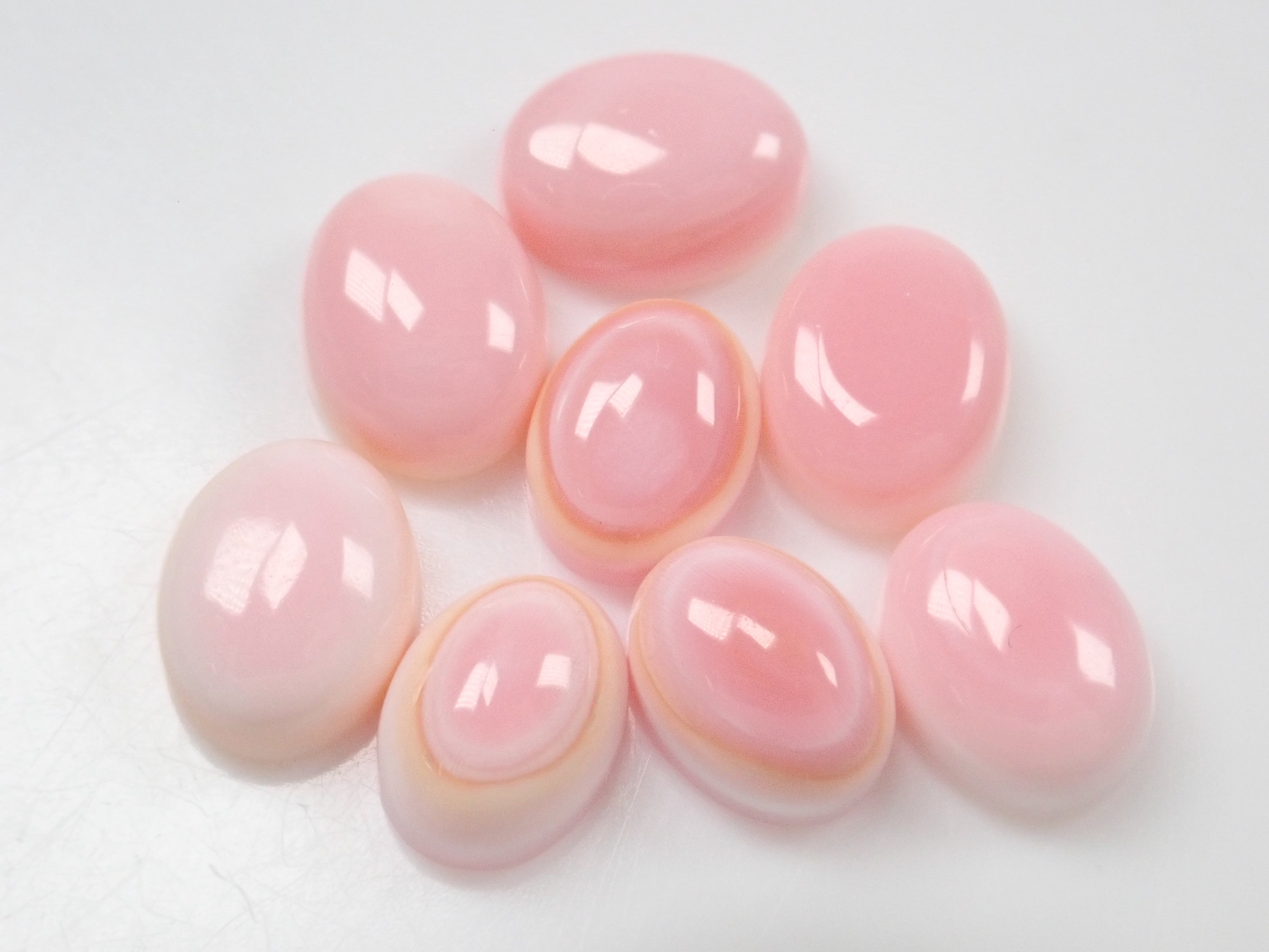 個数限定品❤】コンク貝 悪し 花 穴あき 10×2.5(ｍｍ) ピンク