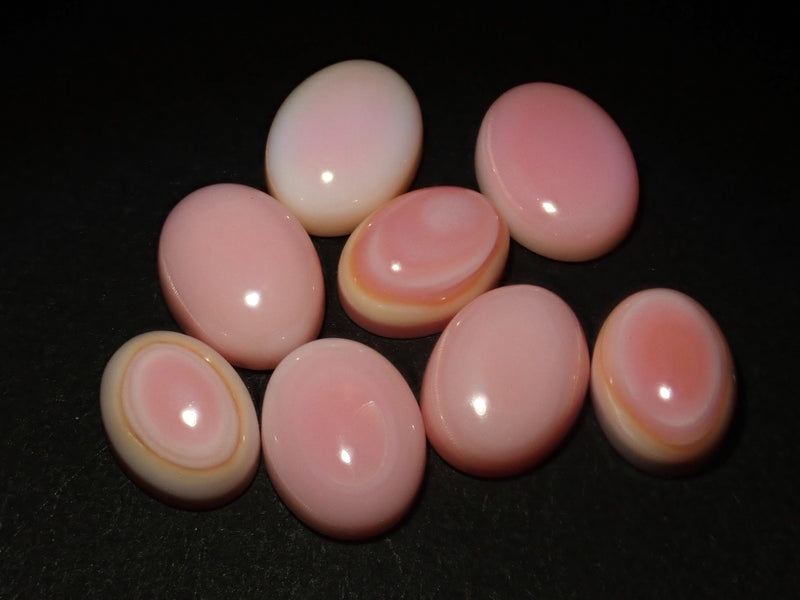 Limited to 8 stones Conch shell 1 stone loose Multiple purchase discount available