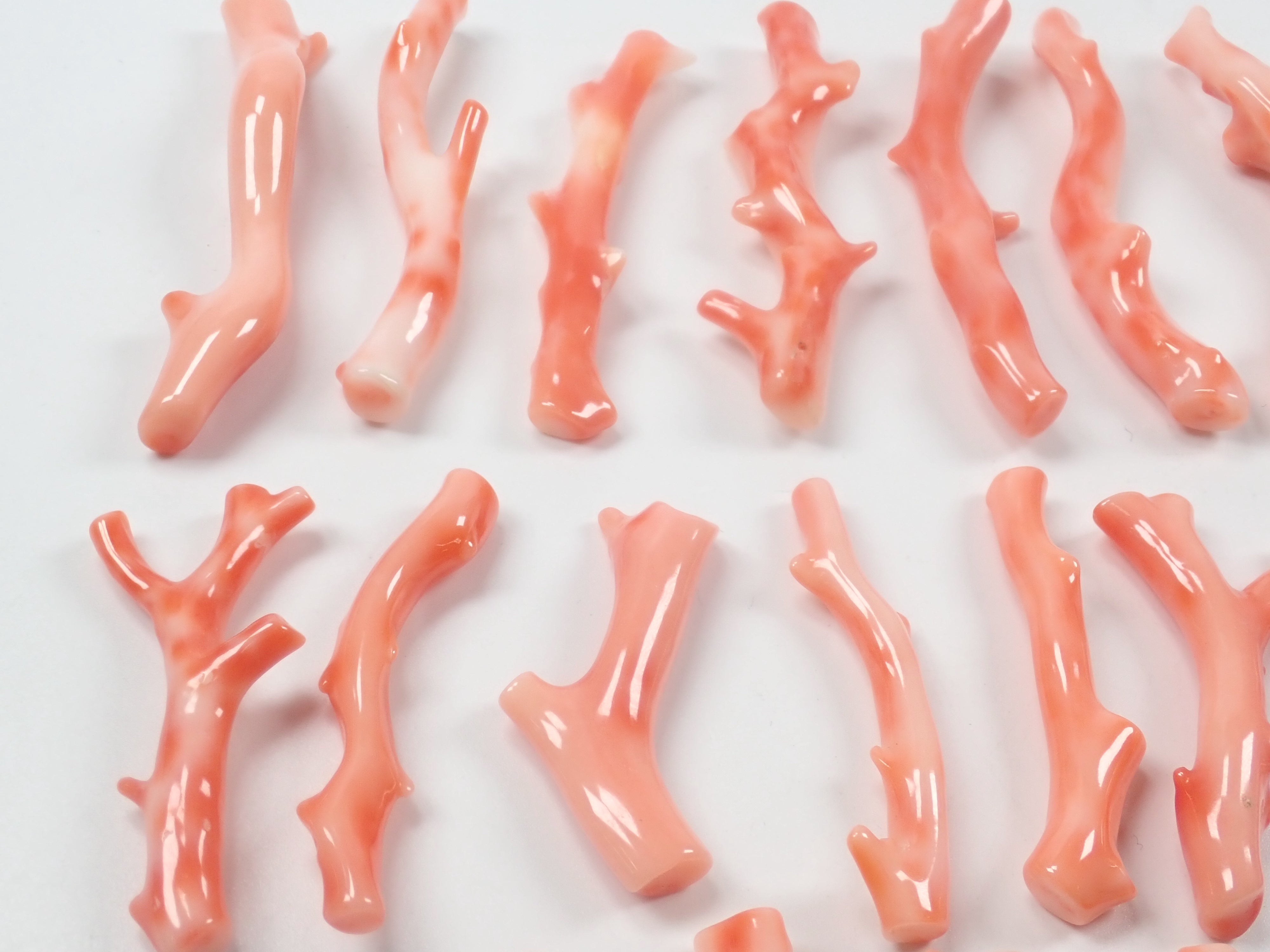 鍾乳石 珊瑚 庭石 水石 盆石 骨董品 観賞石 アクアリウム 気孔石-6 | 杜若園芸WEBショップ｜水草の生産販売【通販ショップ】
