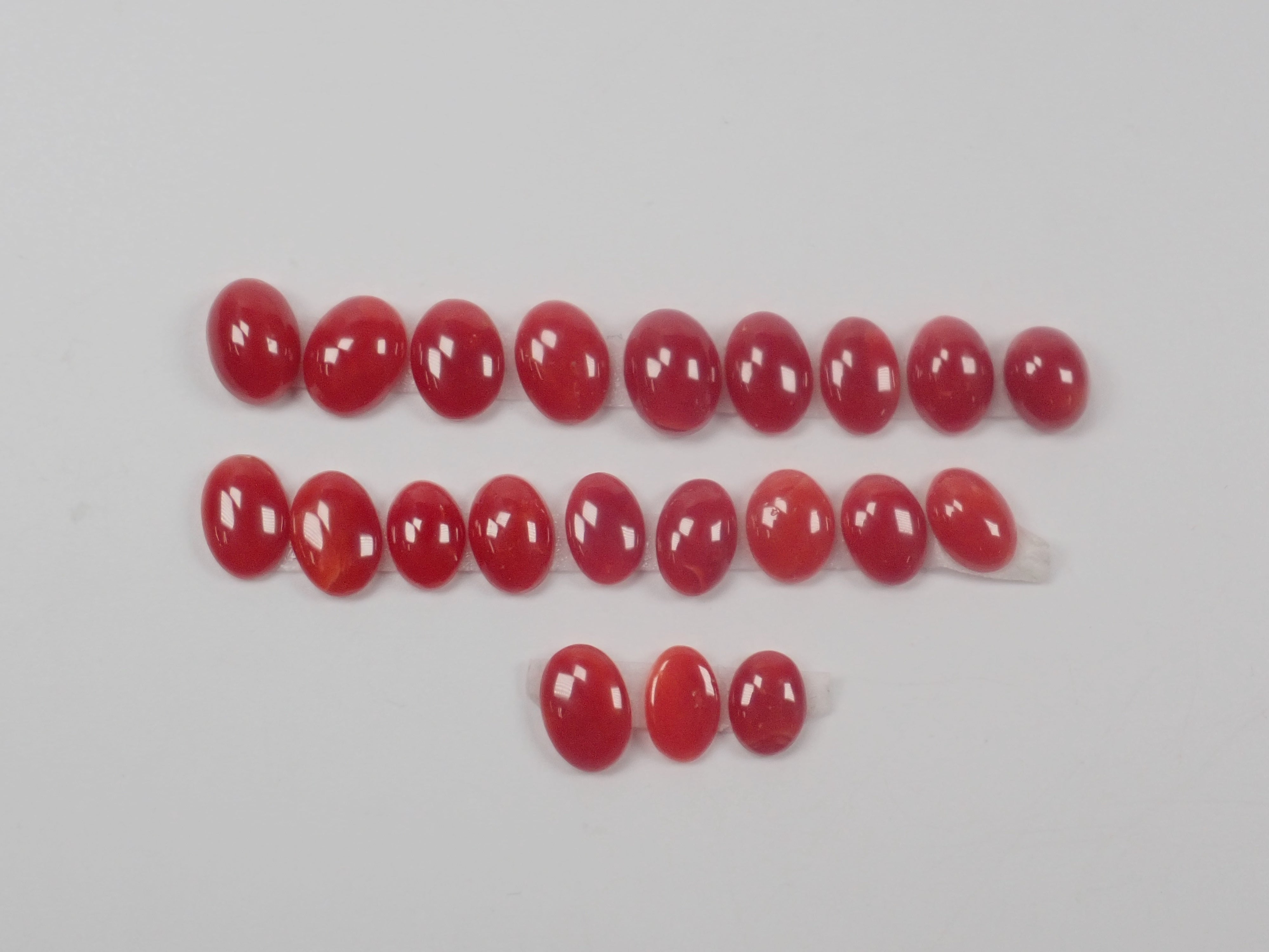 【4/3 22時販売】《限定21石》高知県産血赤珊瑚 ルース（6〜8mm／引き上げ時の水圧によるキズ有）《複数購入割引有》　