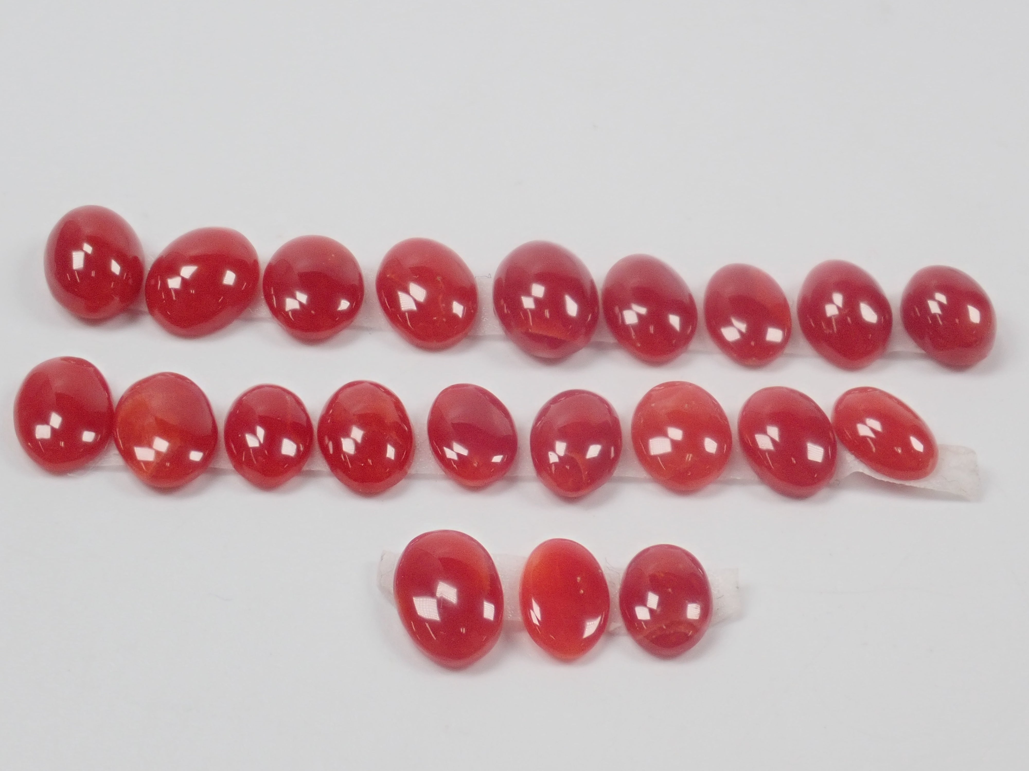 高知縣產阿卡珊瑚裸石（6~8mm／因打撈水壓而產生的傷痕）《多件購買享折扣》