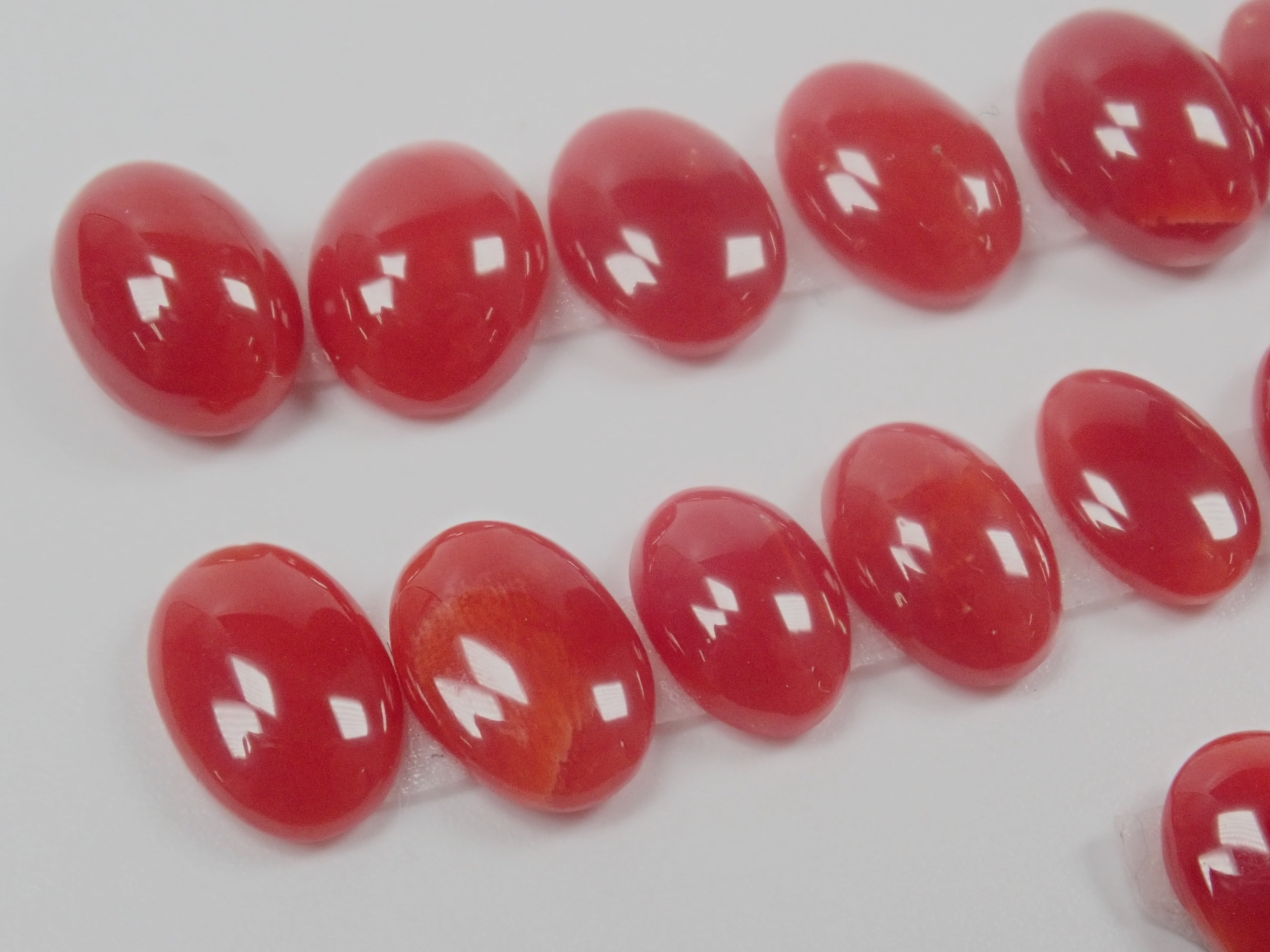 高知縣產阿卡珊瑚裸石（6~8mm／因打撈水壓而產生的傷痕）《多件購買享折扣》