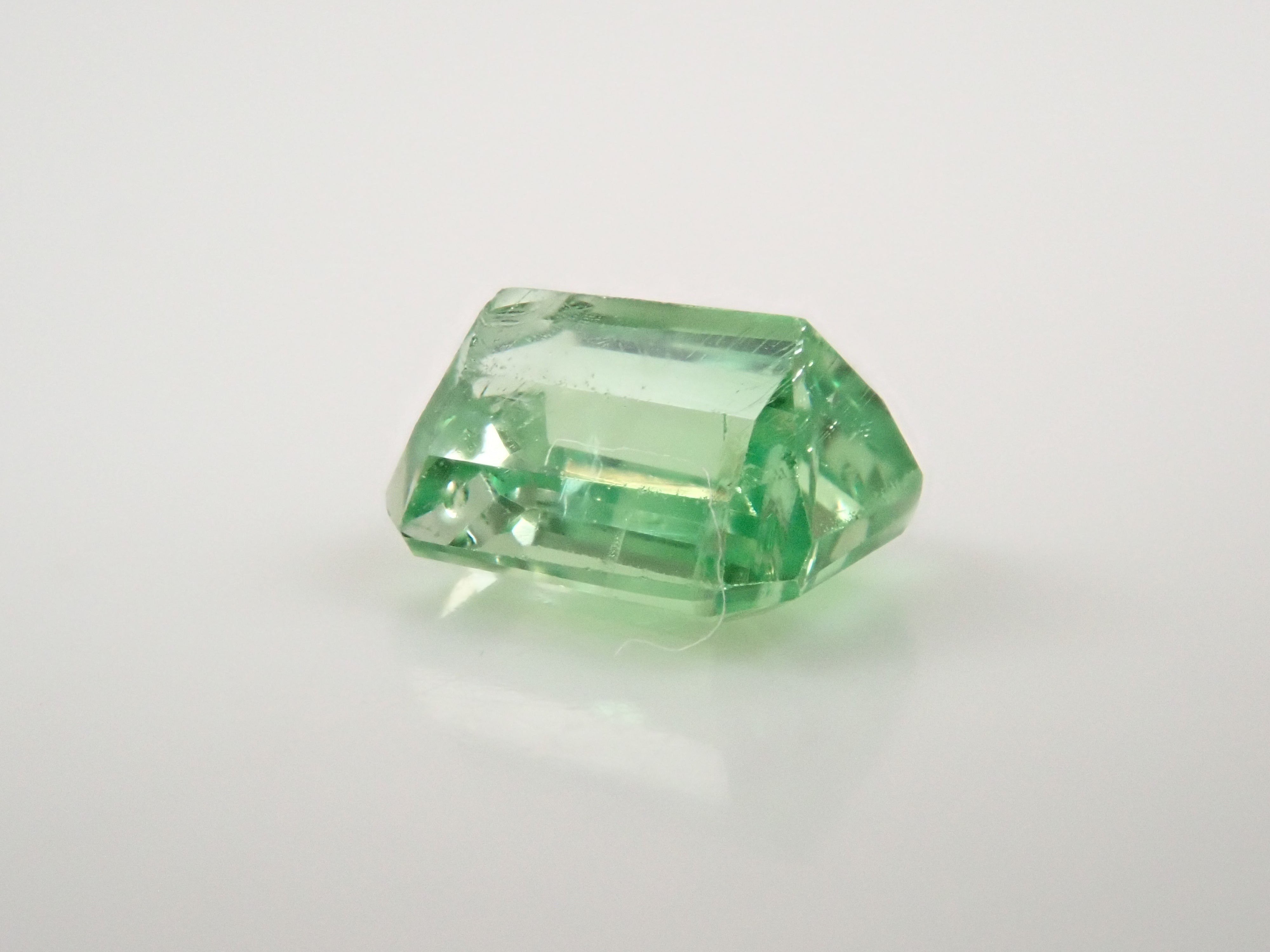 ケニア産バイカラーグロッシュラーガーネット 0.496ctルース