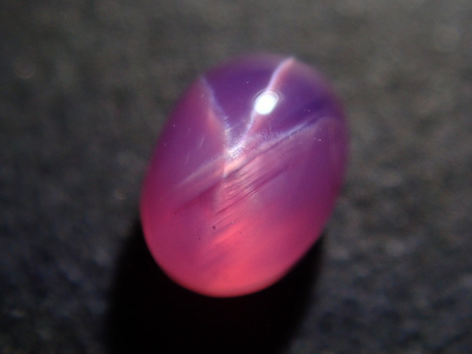 P4033759.jpg?v=1743744857&  