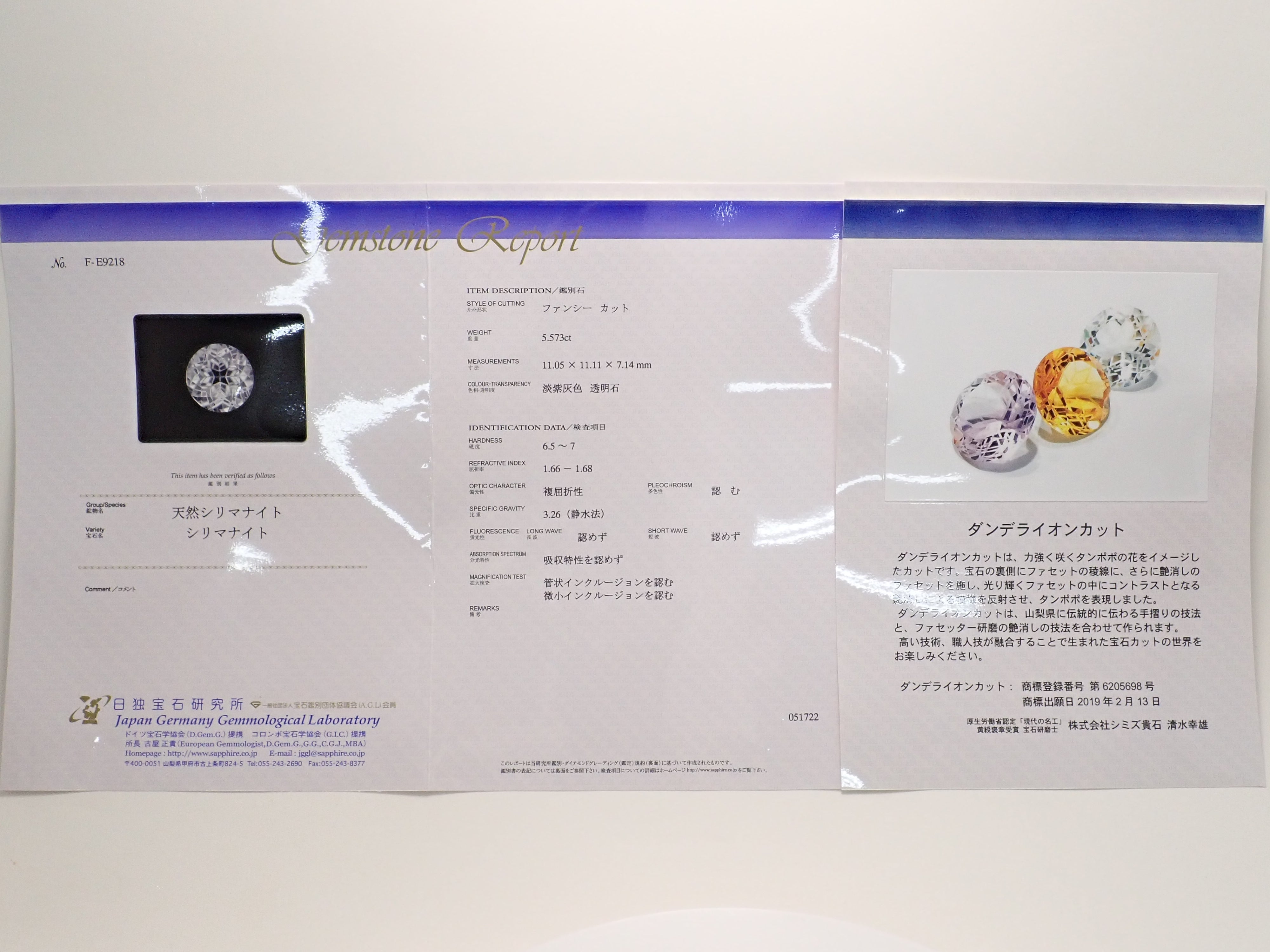 スリランカ産シリマナイト 5.573ctルース
